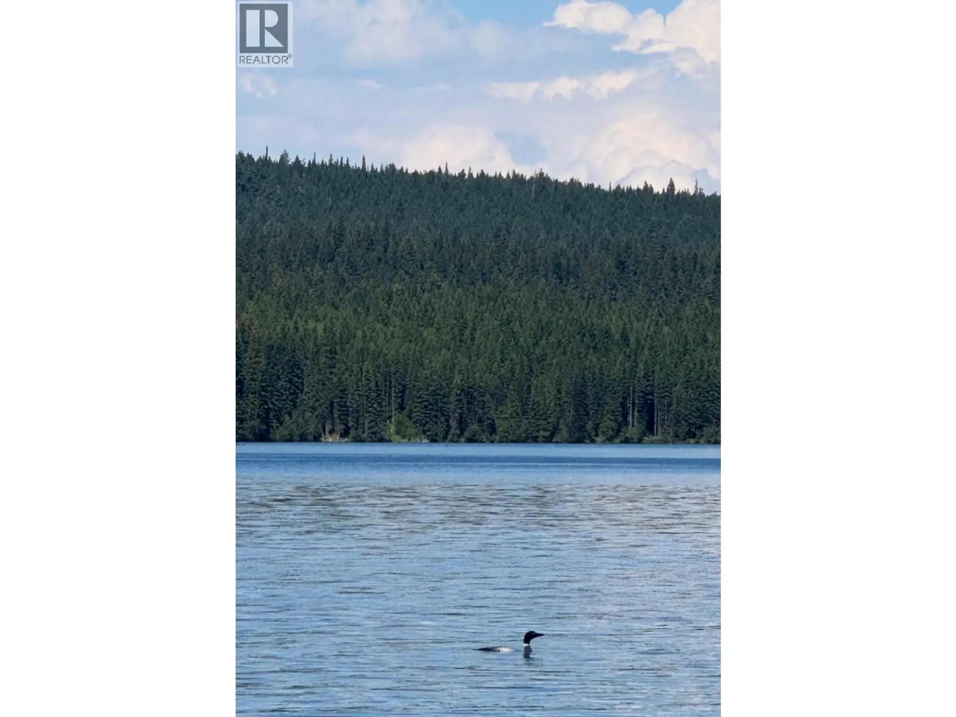 34720 PURDEN LAKE ROAD - Image 13