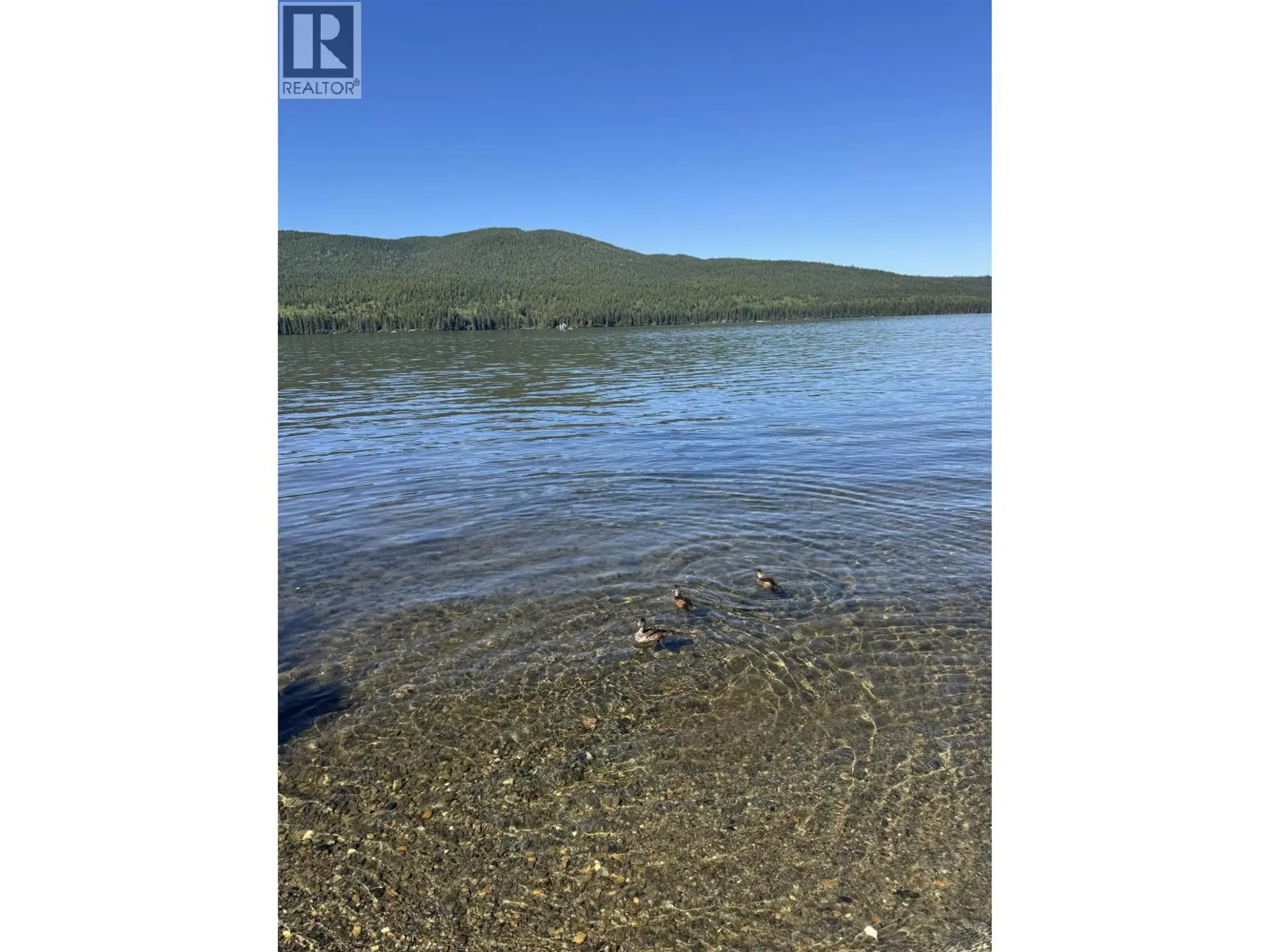 34720 PURDEN LAKE ROAD - Image 14
