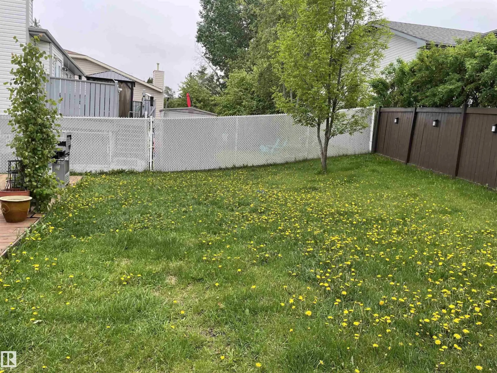 306 REGENCY DR - Image 3
