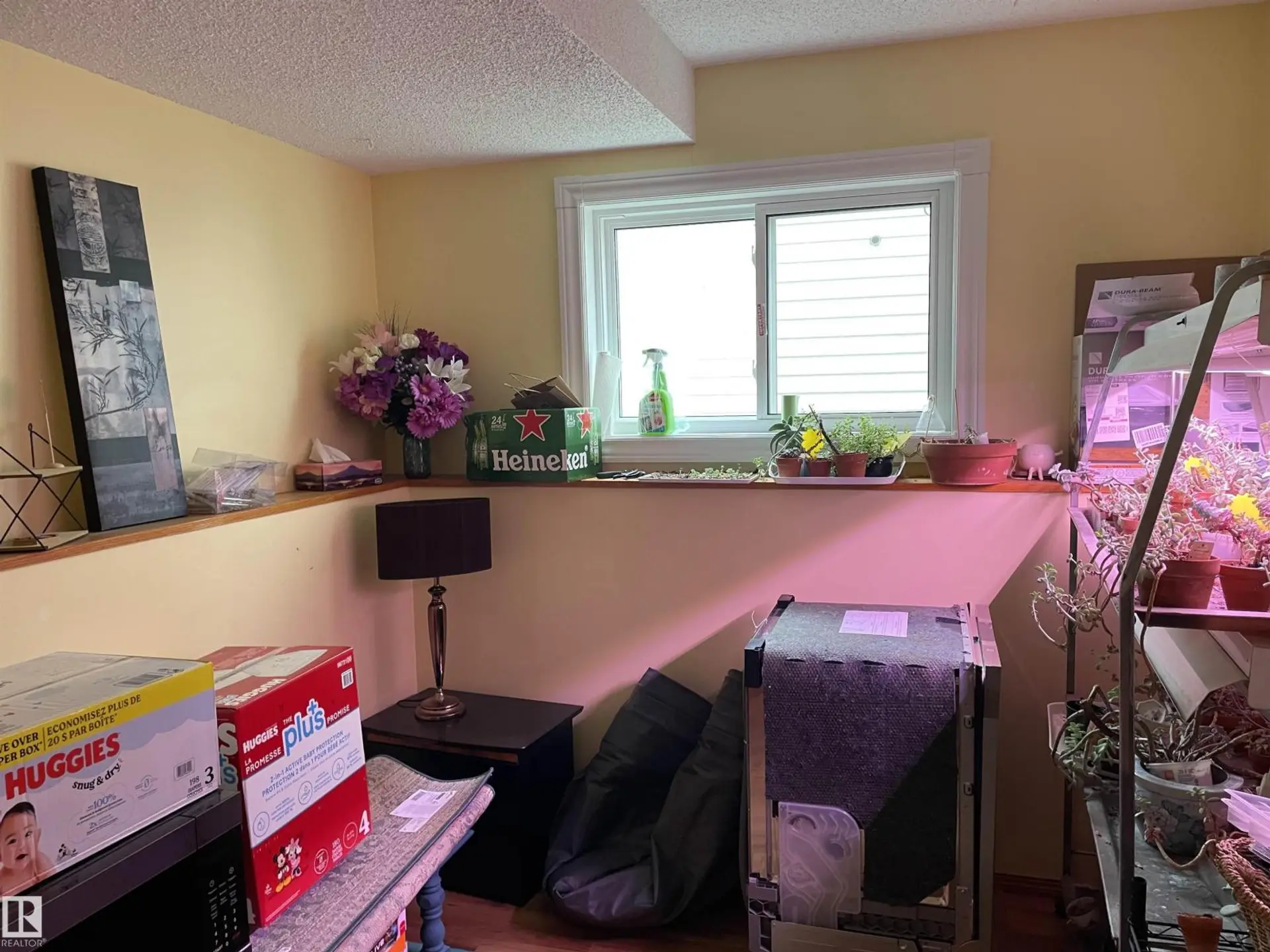 306 REGENCY DR - Image 8