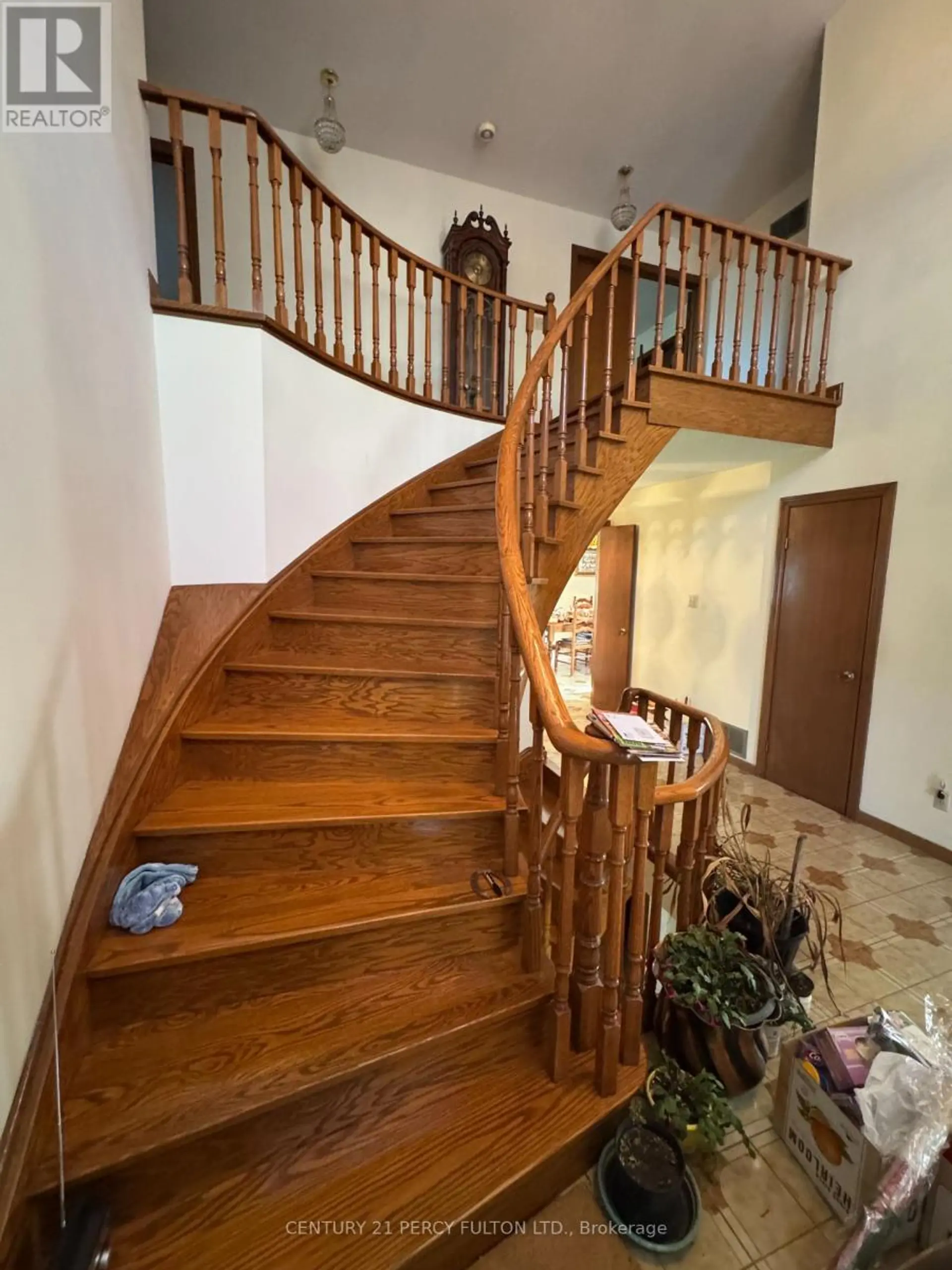 29 ERNEST AVENUE - Image 3