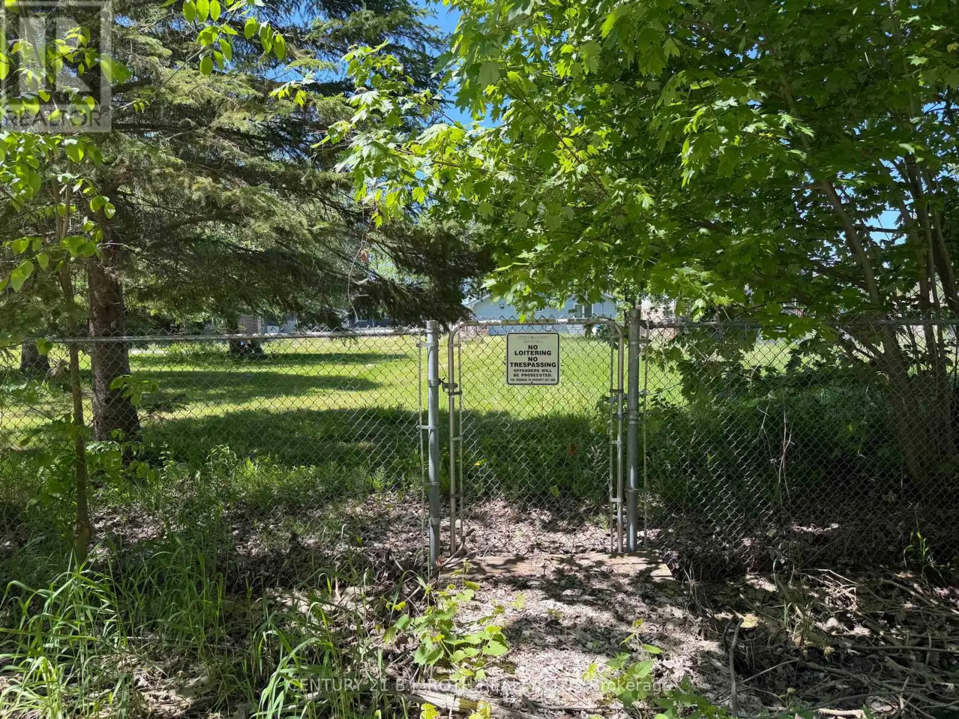2745 LONE BIRCH TRAIL - Image 6
