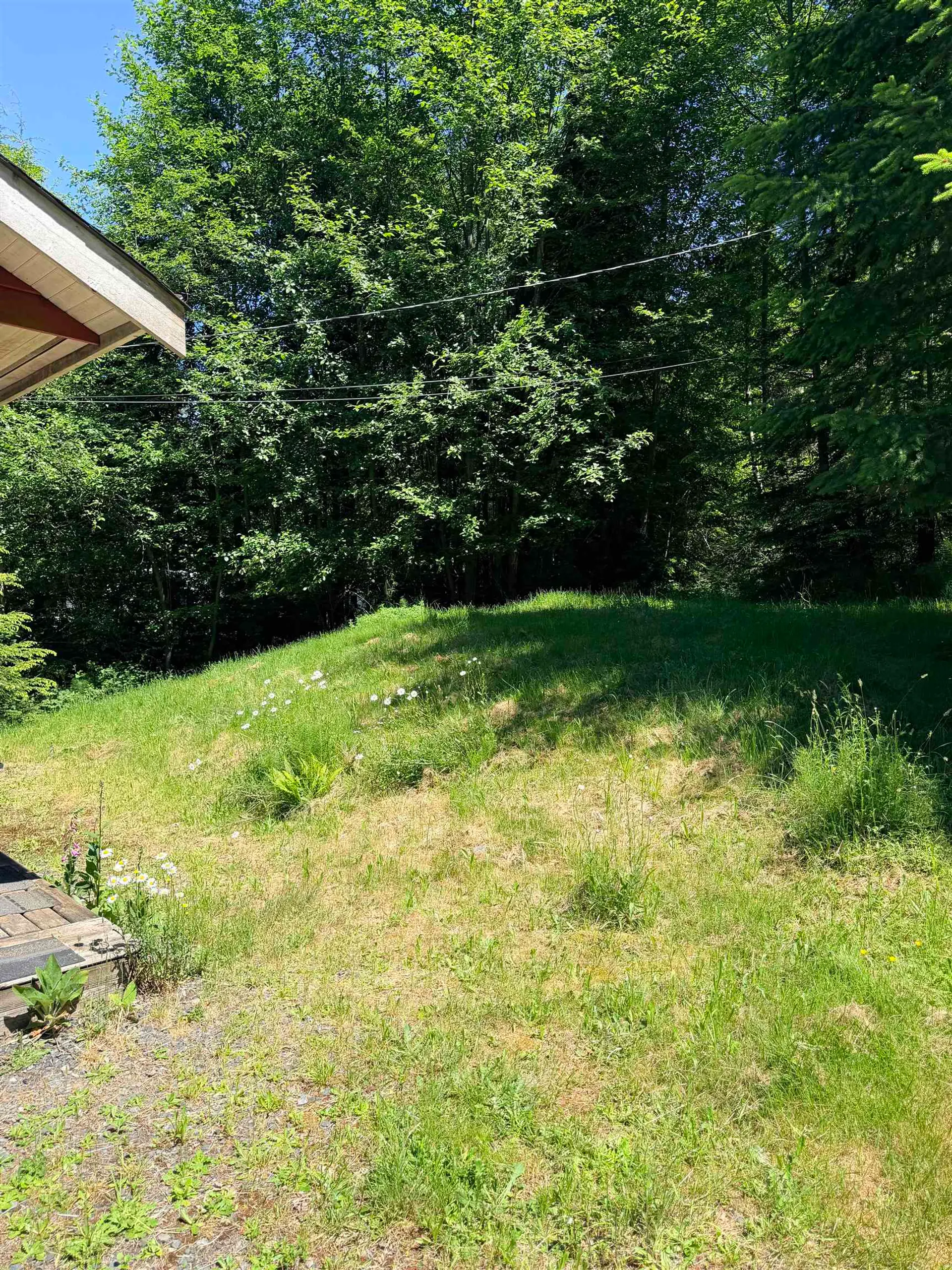 1260 Adams Road - Image 14
