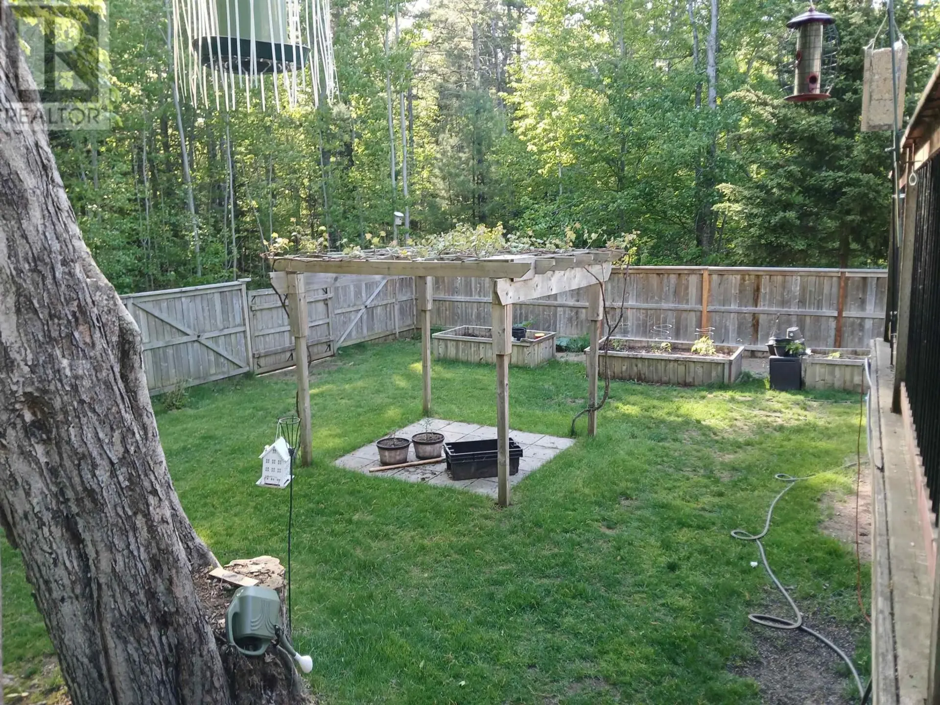 38 Robie Avenue - Image 5