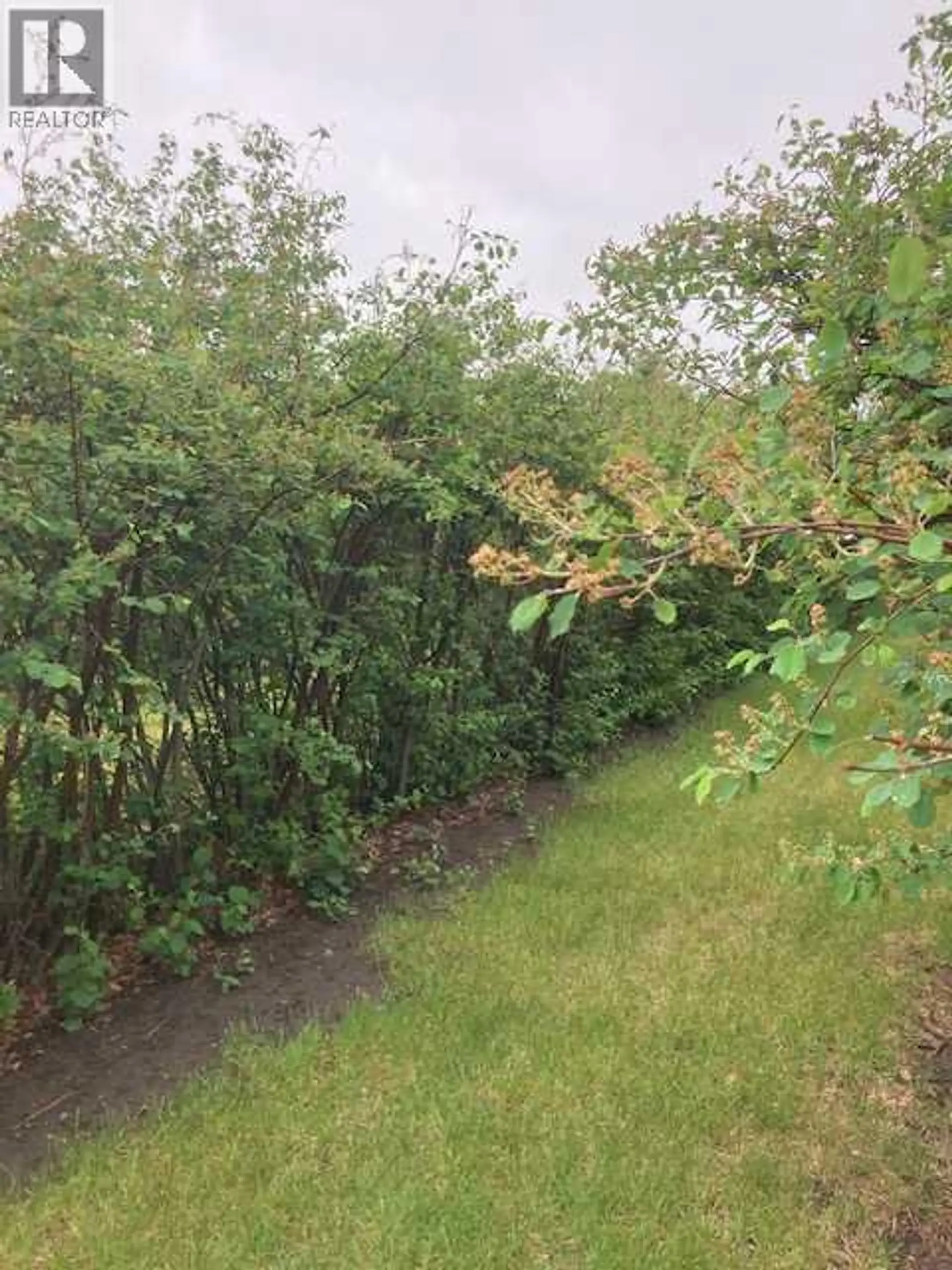 3, 26575 HWY 11 - Image 17