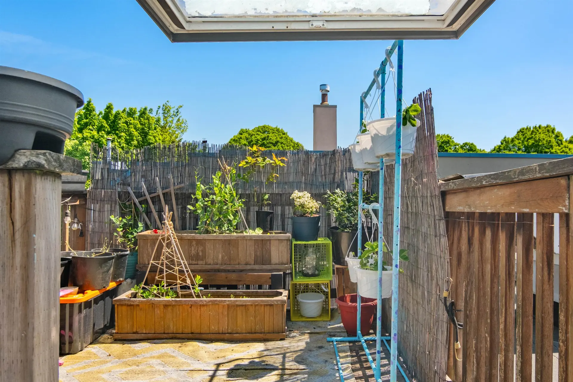 #PH1 120 Garden Drive - Image 5