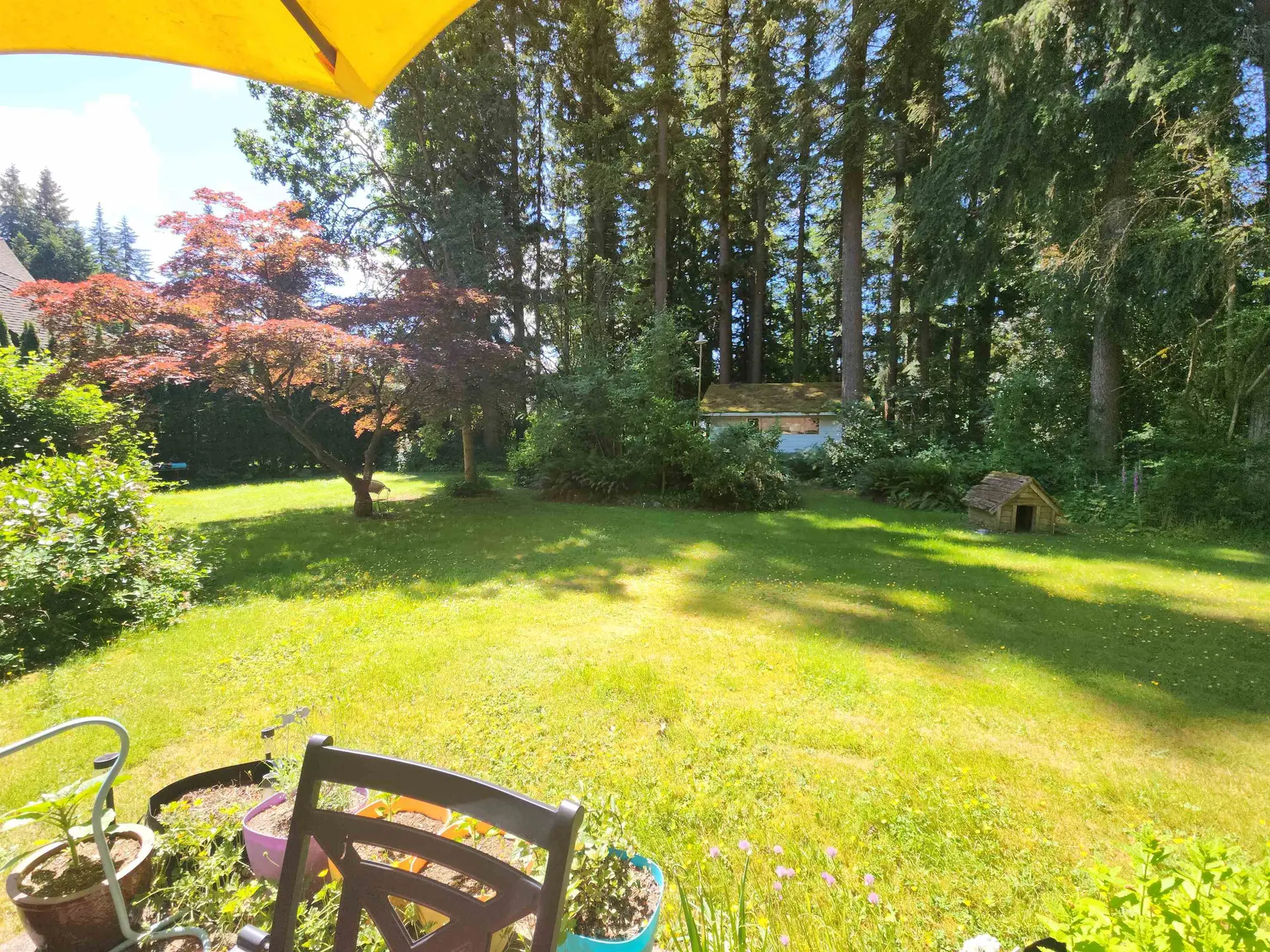 20176 28 Avenue - Image 9