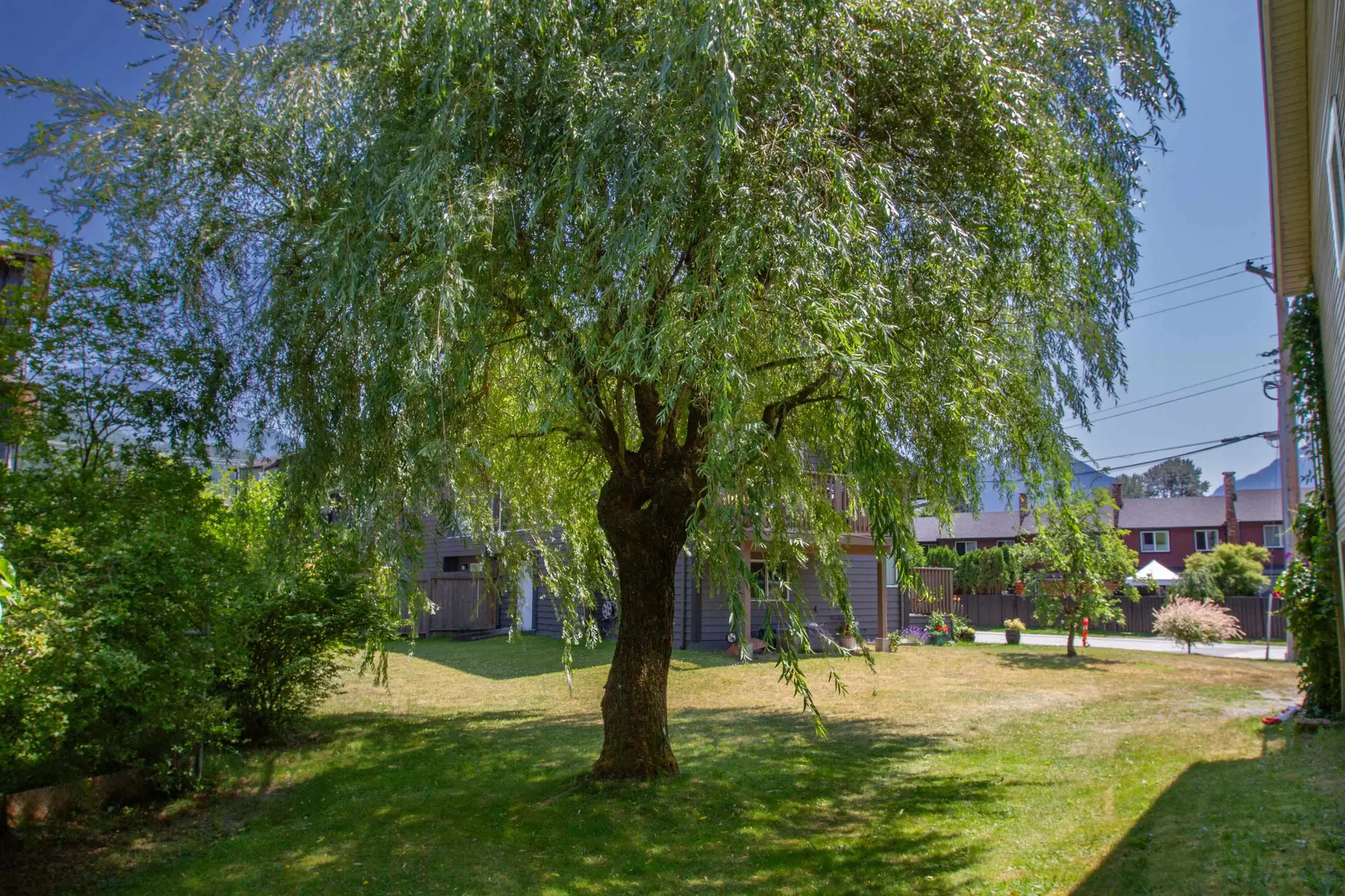 1491 Judd Road - Image 3