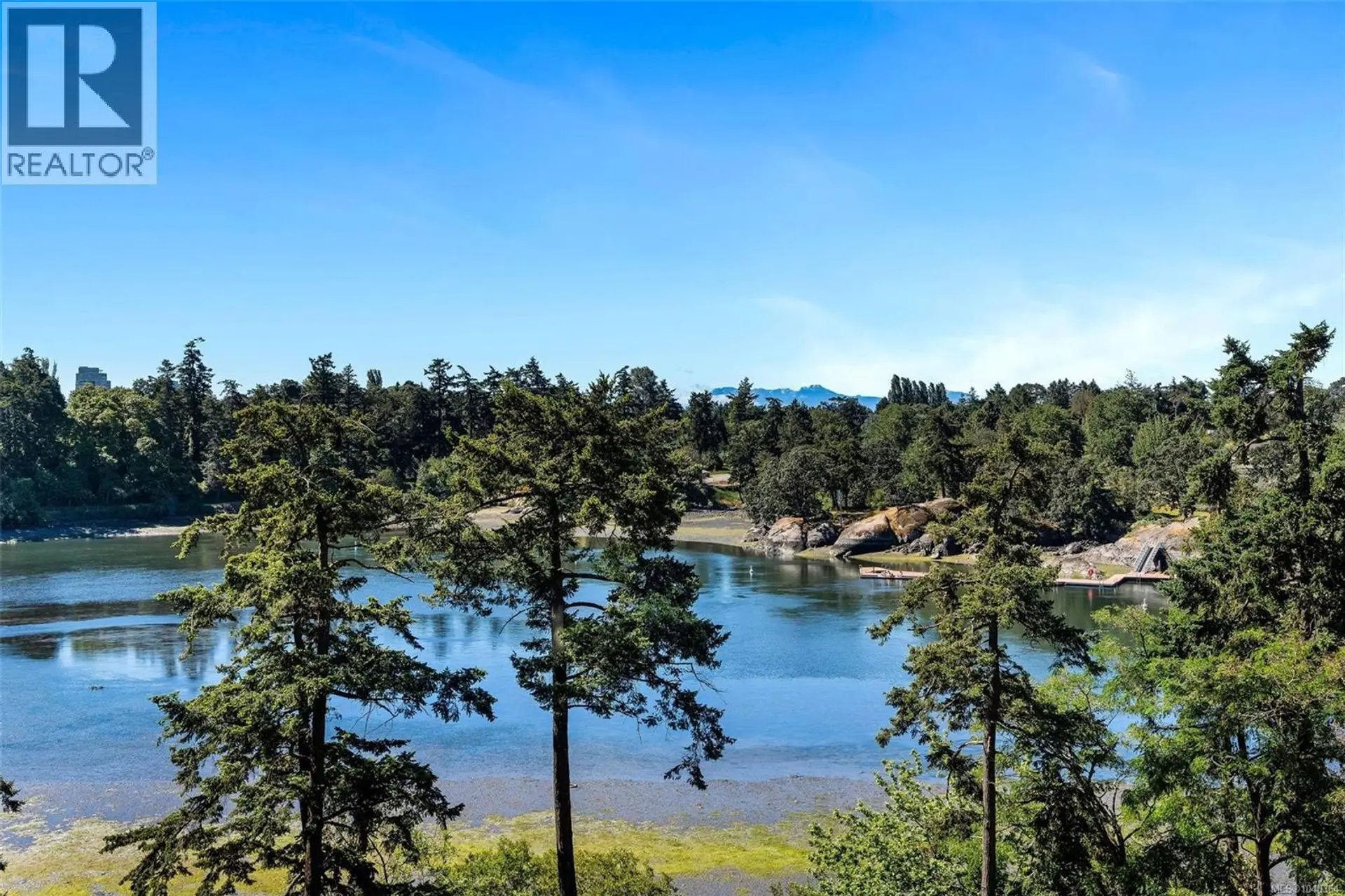 Property at #304 105 Gorge Rd E, Victoria, BC