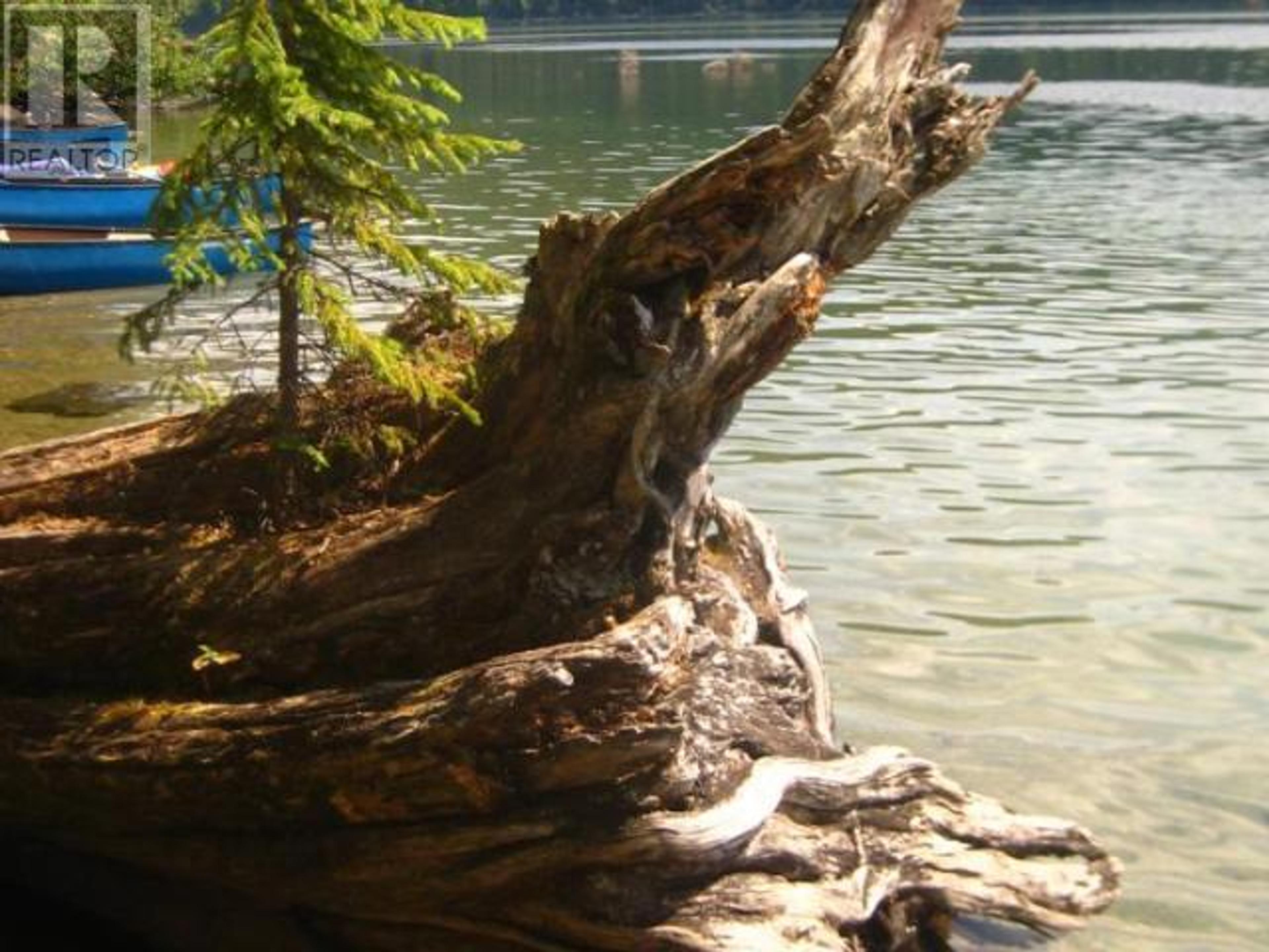 SPECIALTY CLEARWATER VALLEY ROAD - 14