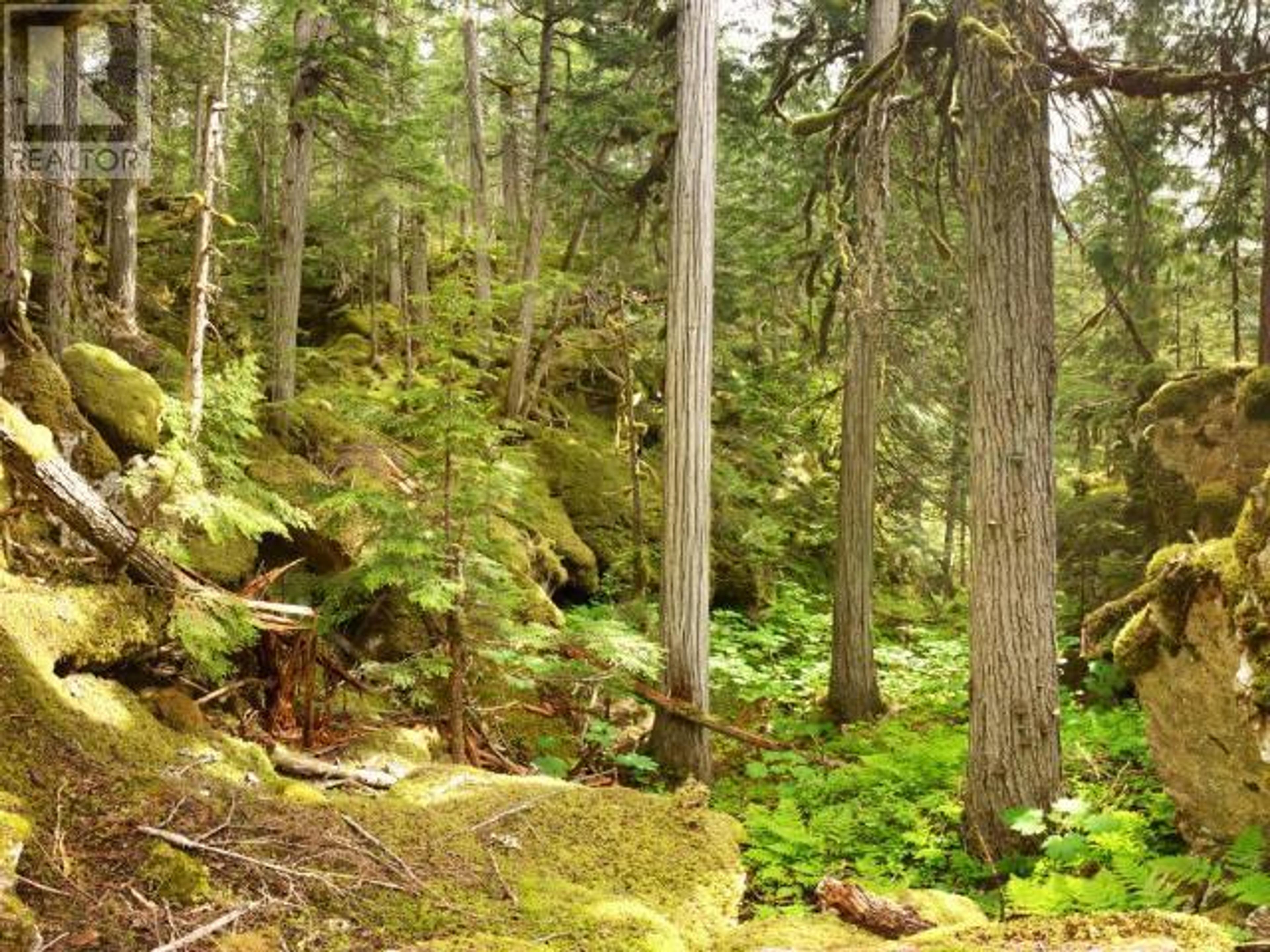 SPECIALTY CLEARWATER VALLEY ROAD - 18