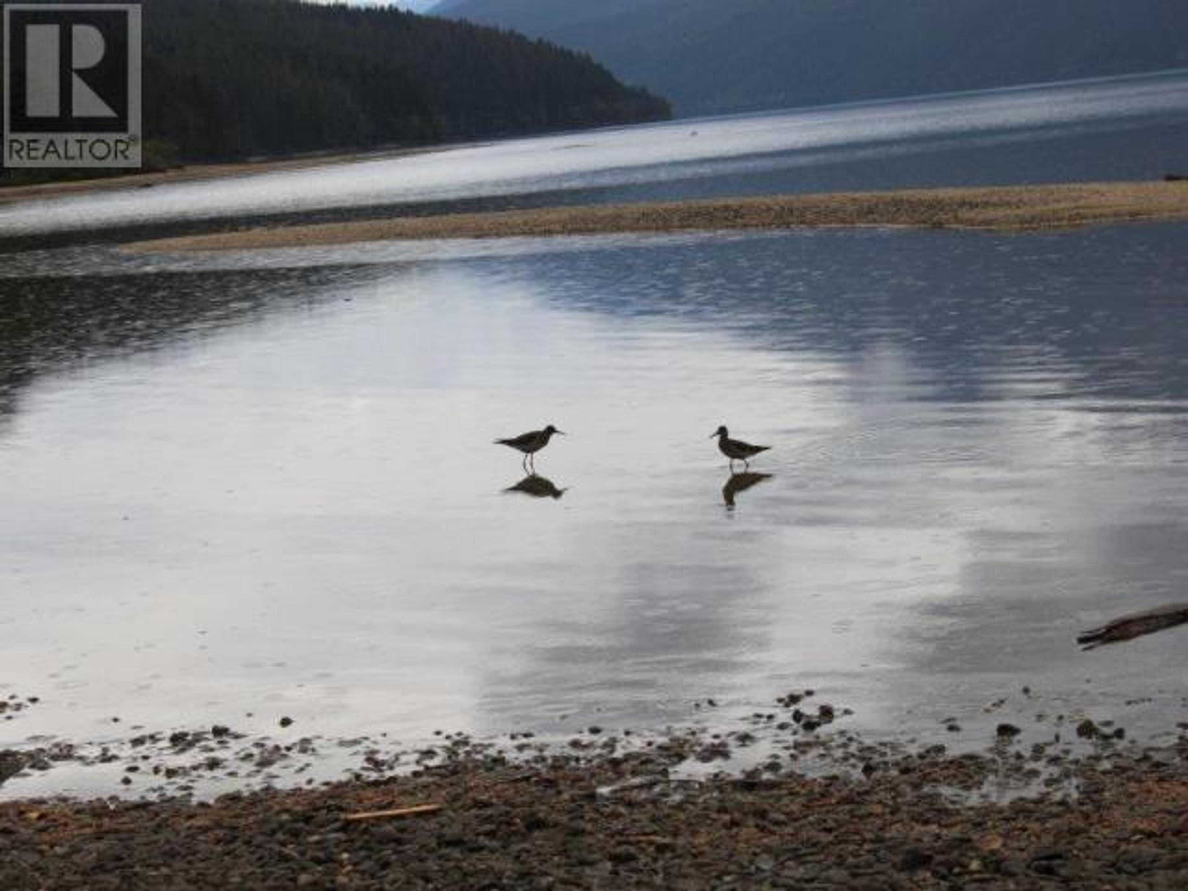 SPECIALTY CLEARWATER VALLEY ROAD - 49