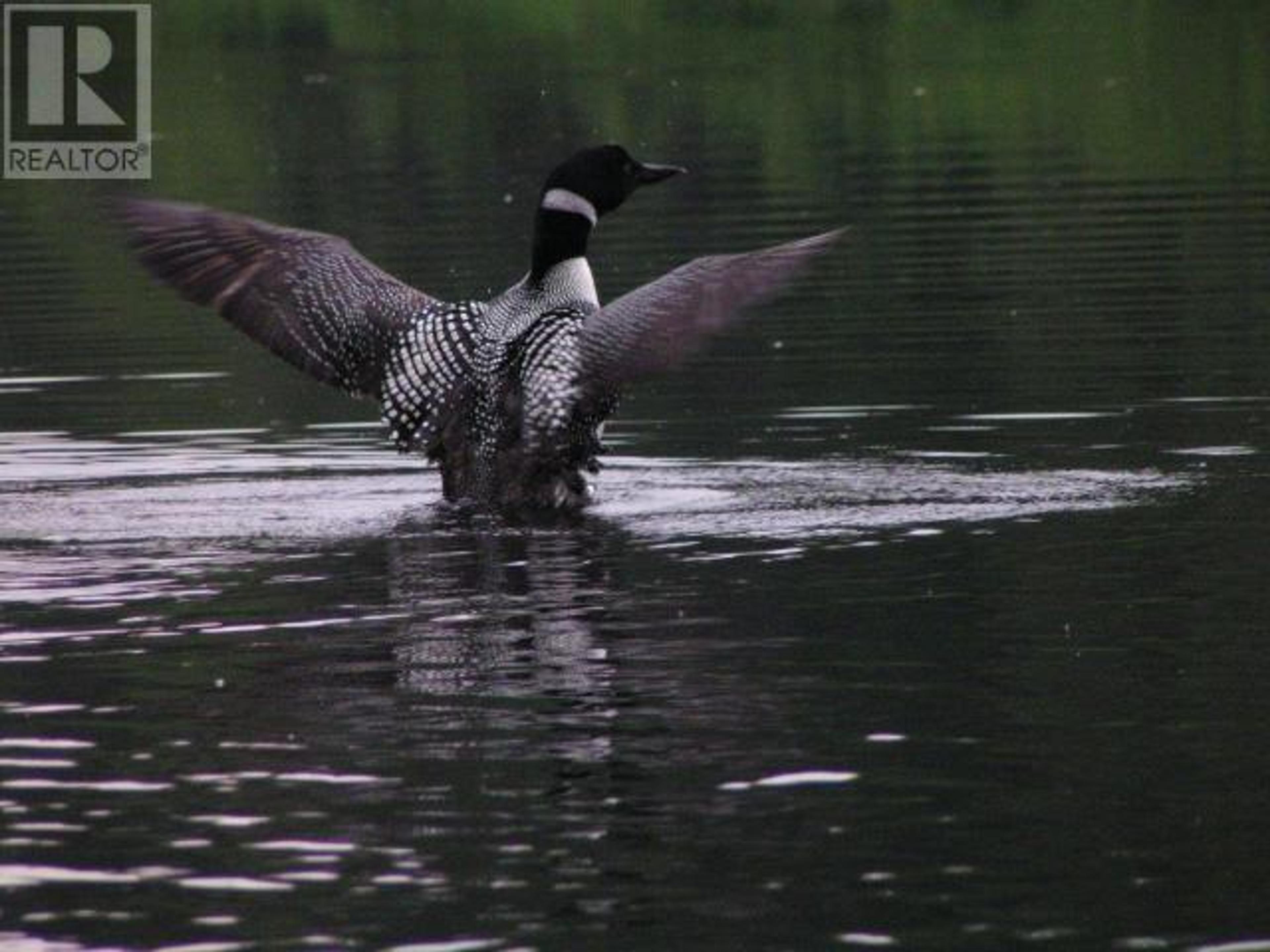 SPECIALTY CLEARWATER VALLEY ROAD - 52