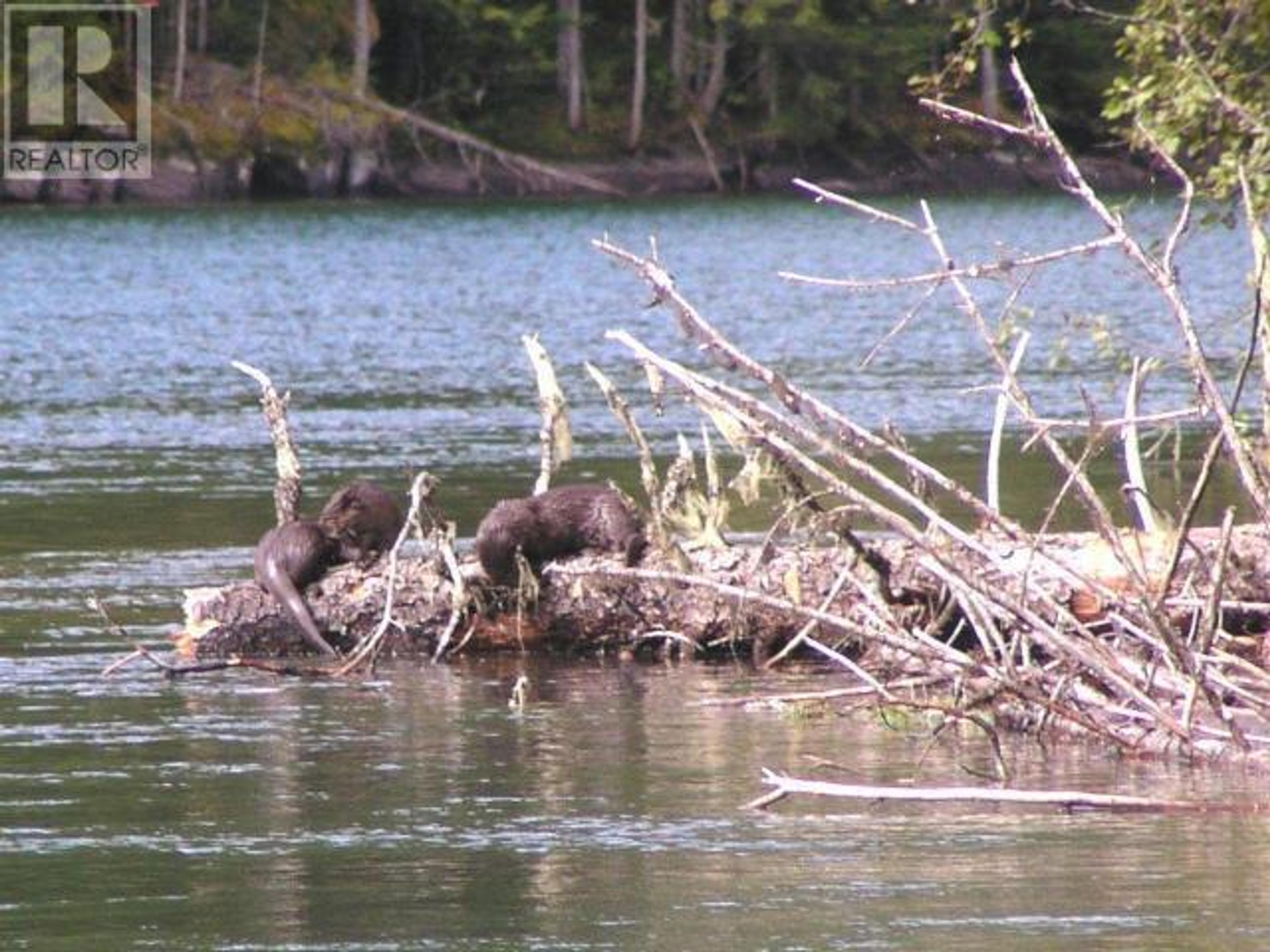 SPECIALTY CLEARWATER VALLEY ROAD - 53