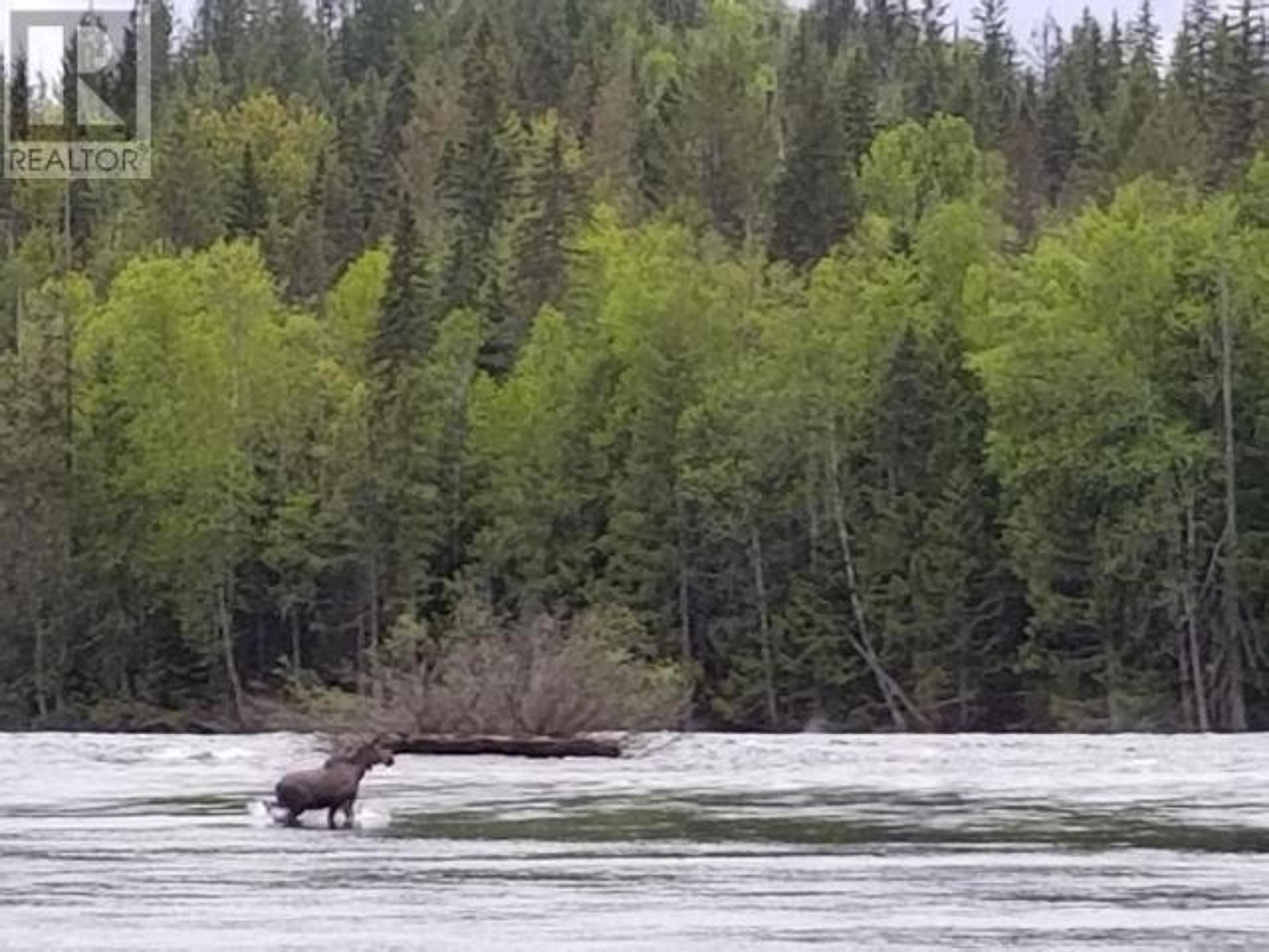 SPECIALTY CLEARWATER VALLEY ROAD - 7