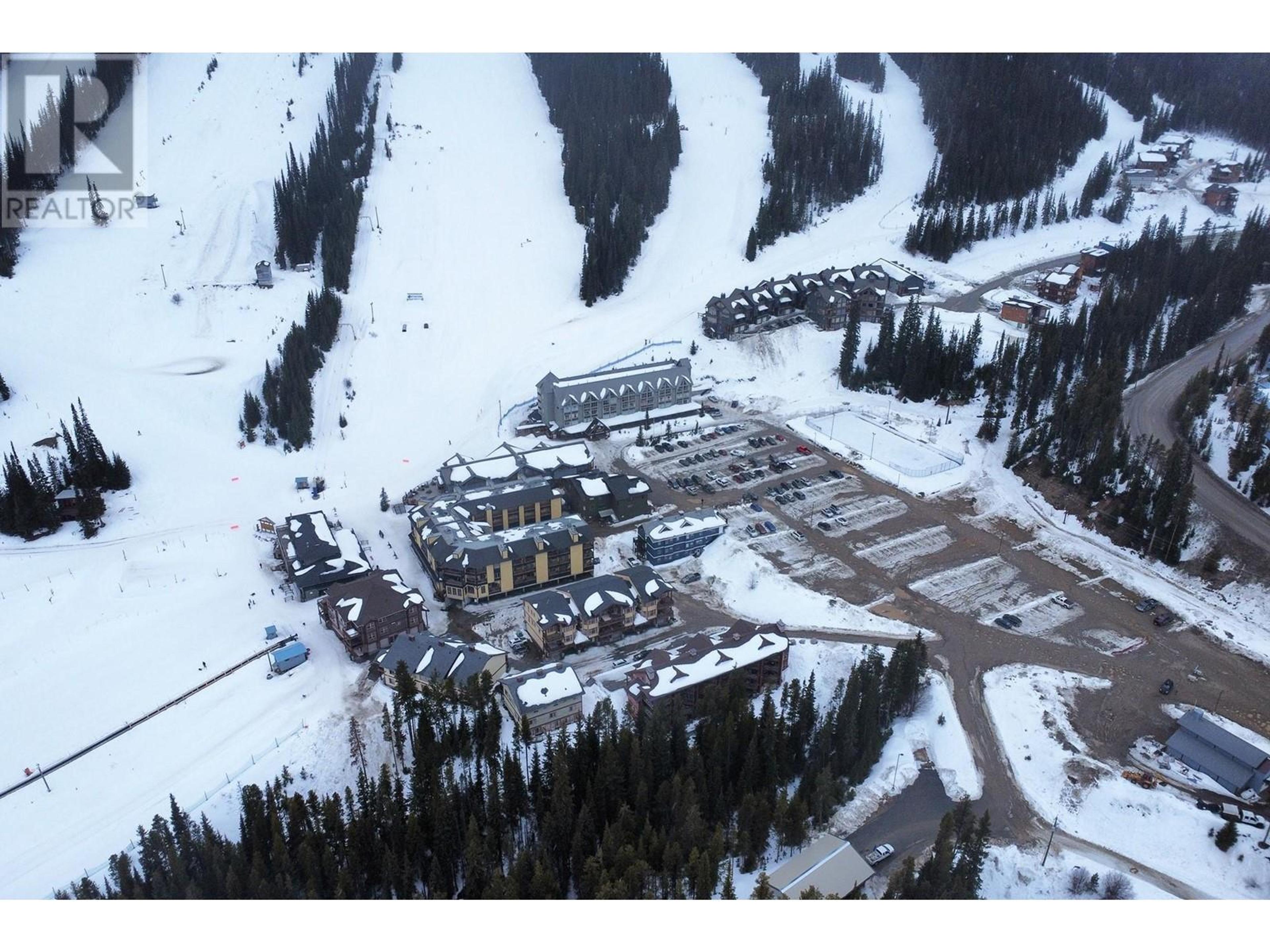 360 Strayhorse Road, Hedley - Exteriors - Full Complex View, Drone/Aerial View - Photo 6