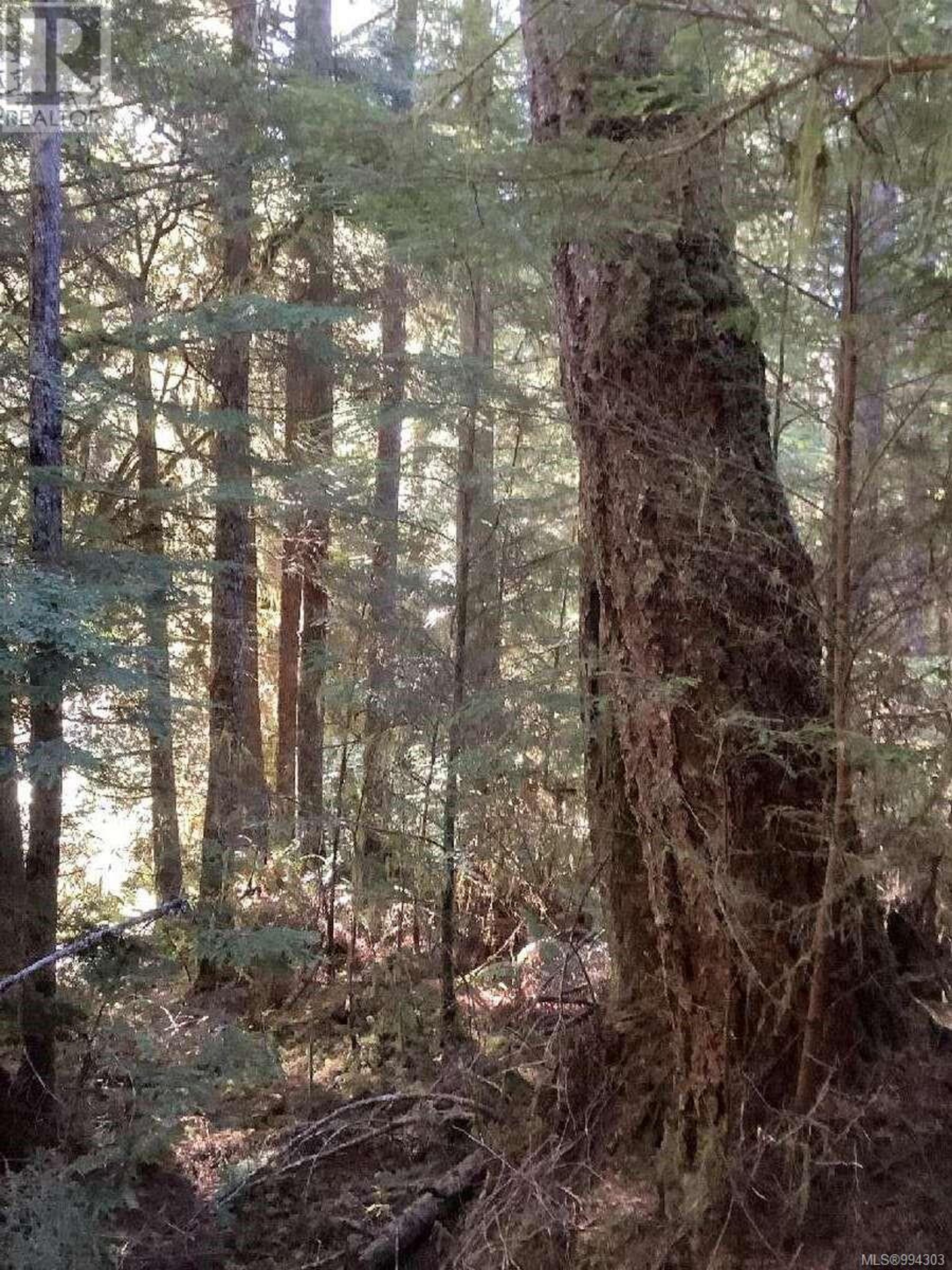 DL 704 BESSBOROUGH BAY - Image 12