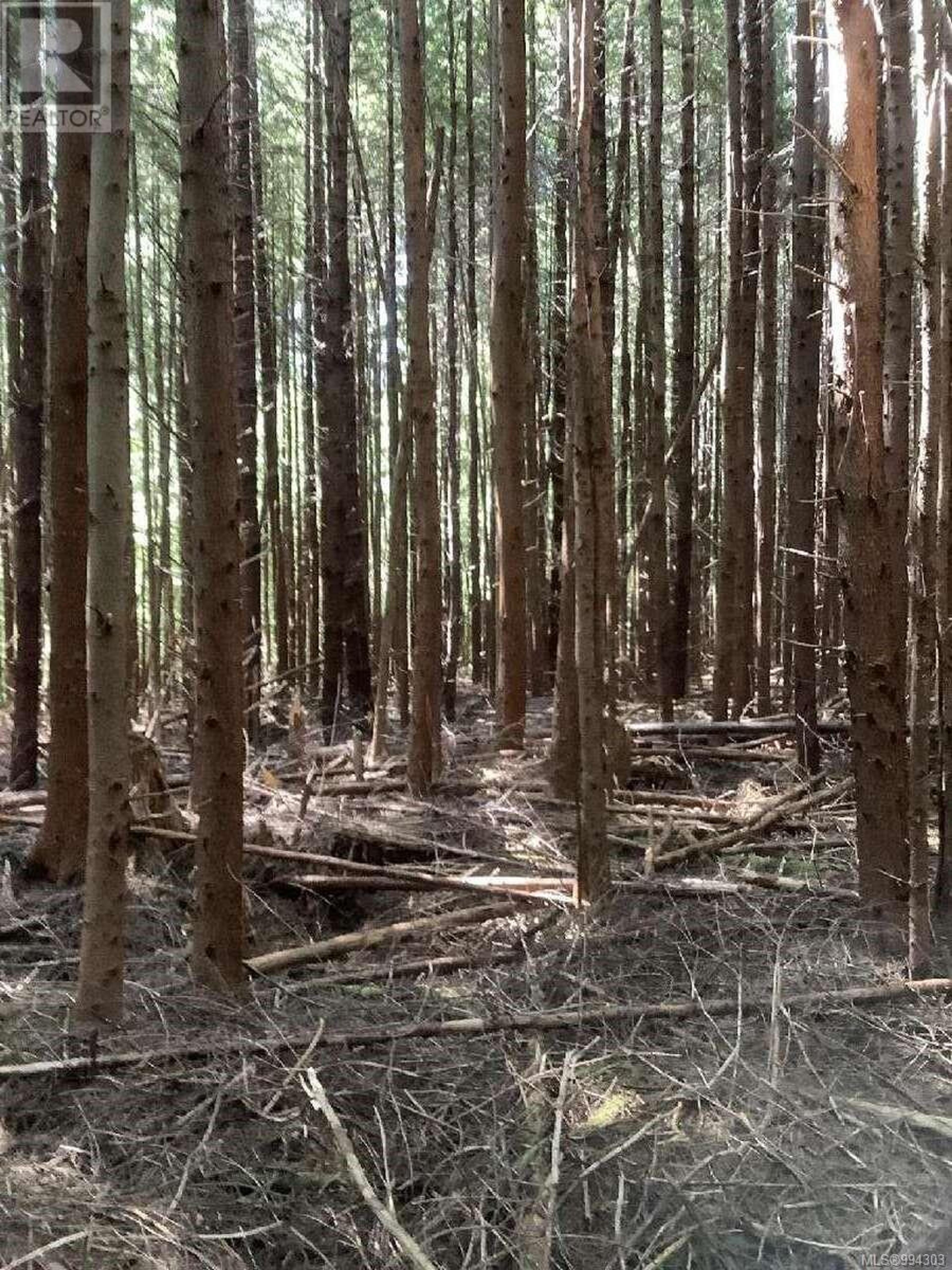 DL 704 BESSBOROUGH BAY - Image 14