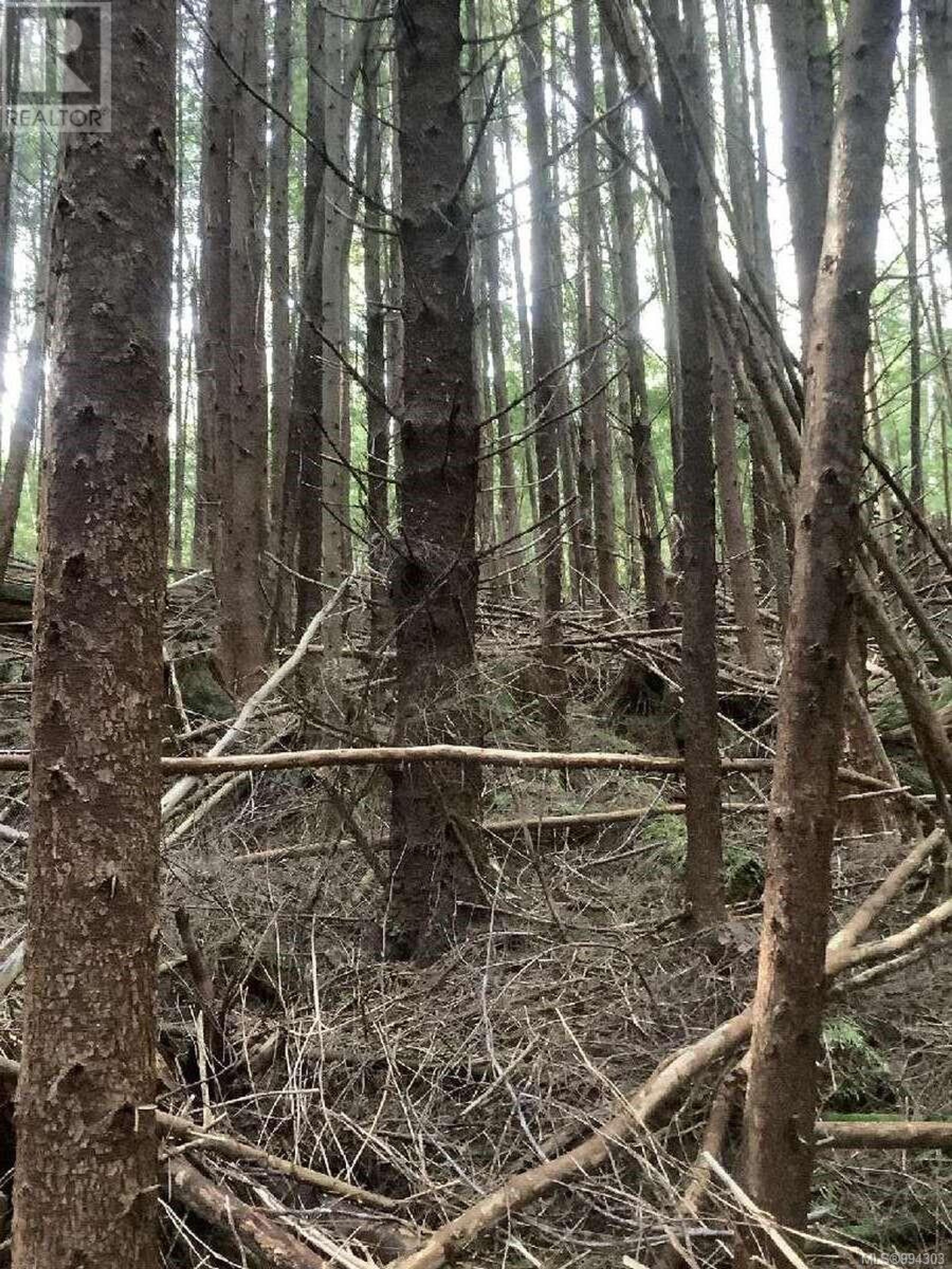 DL 704 BESSBOROUGH BAY - Image 16