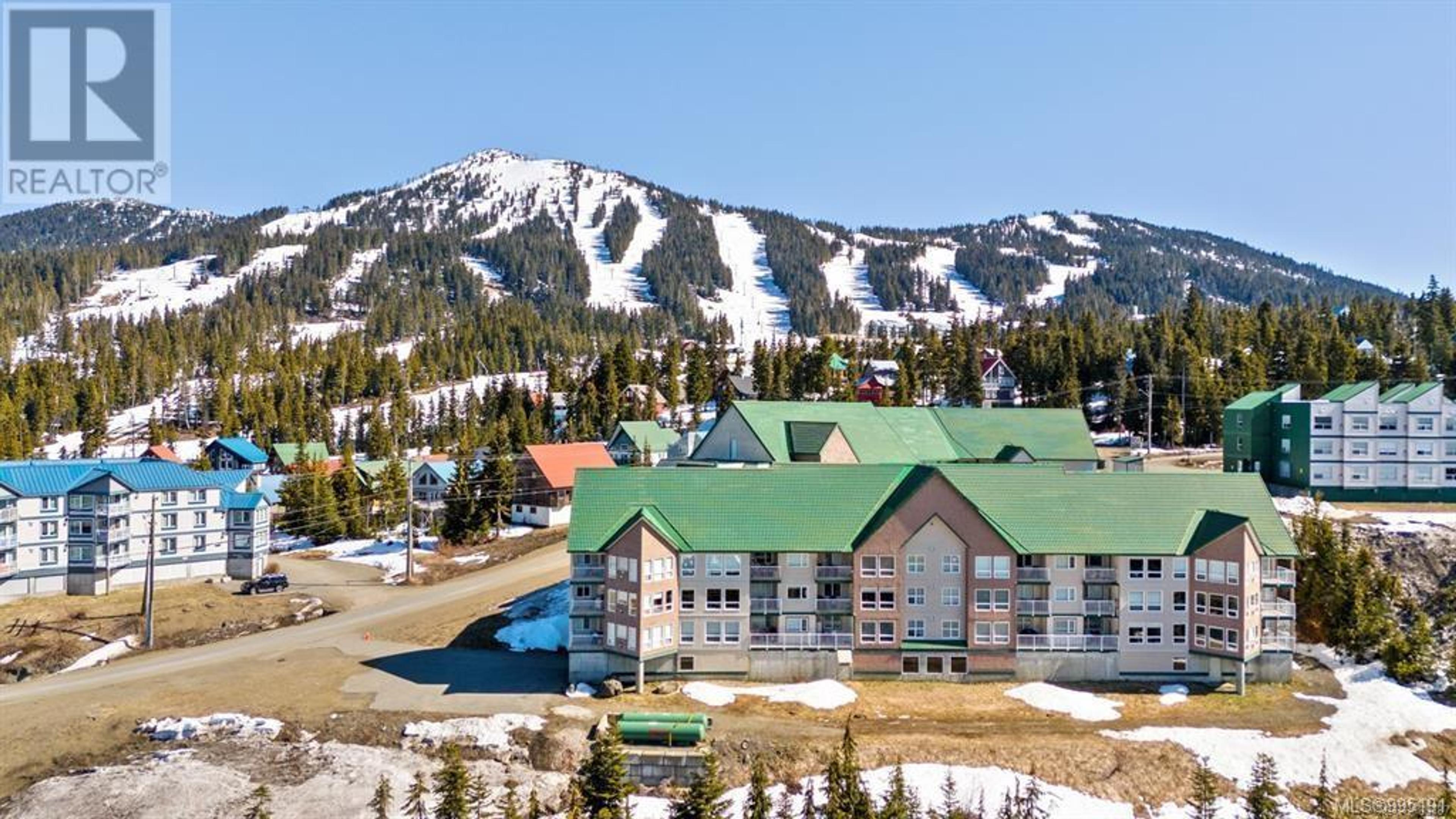 1201 Henry Rd, Courtenay - Exteriors - Full Complex View, Drone/Aerial View - Photo 1