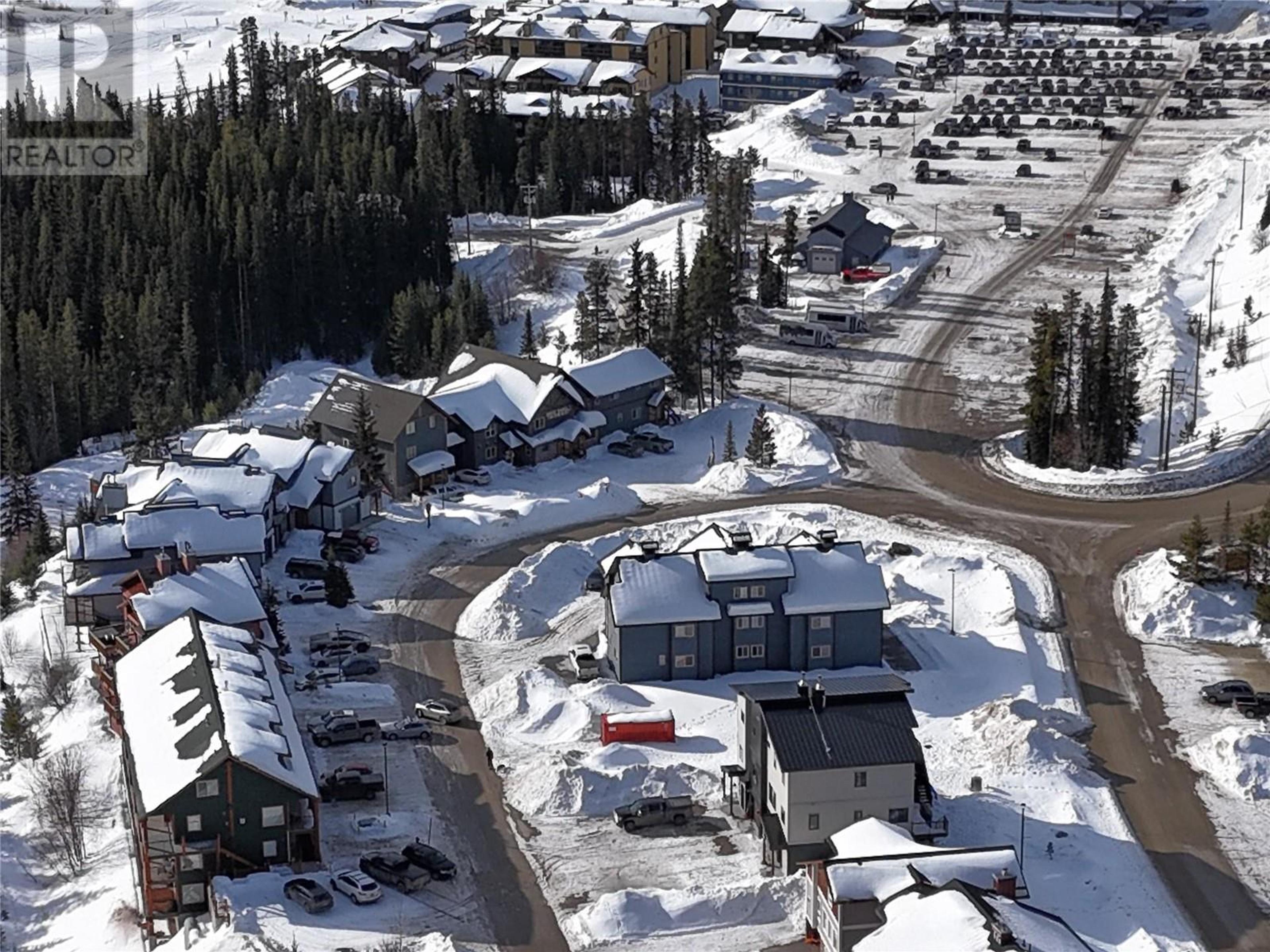 330 Strayhorse Road, Apex Mountain - Exteriors - Full Complex View, Drone/Aerial View - Photo 1