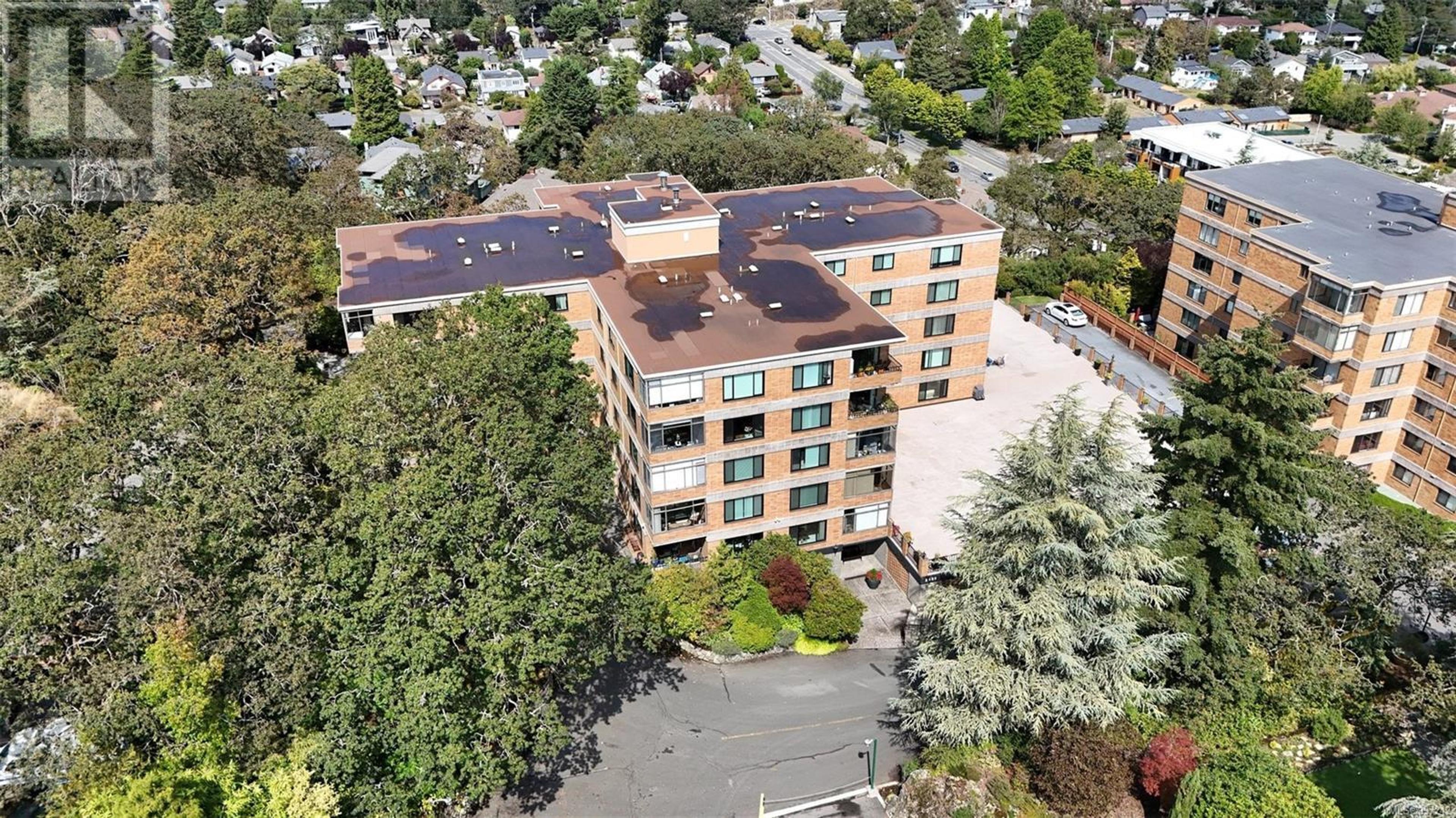 2920 COOK St, Victoria - Exteriors - Full Complex View, Drone/Aerial View - Photo 8