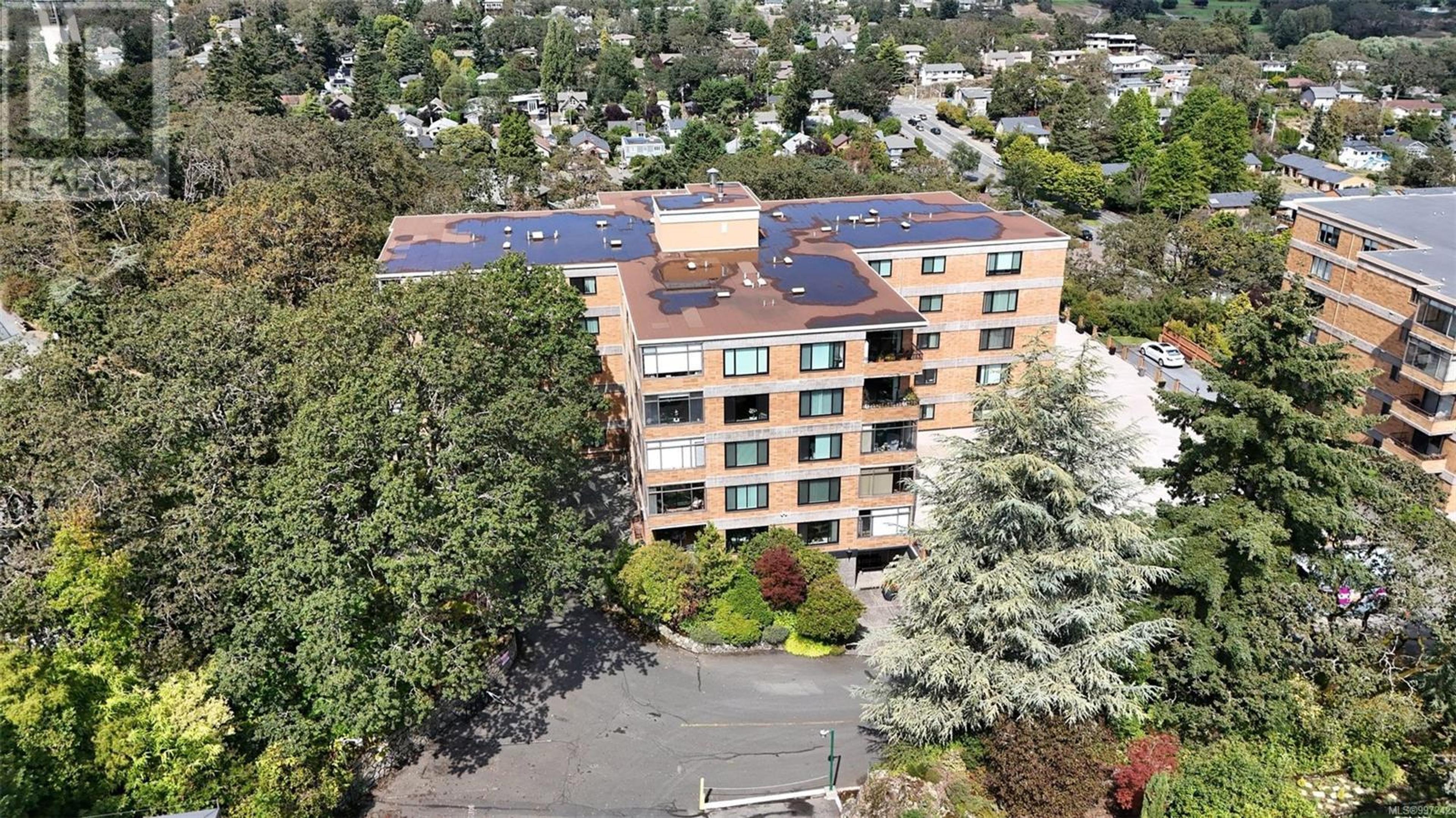 2920 COOK St, Victoria - Exteriors - Drone/Aerial View - Photo 9