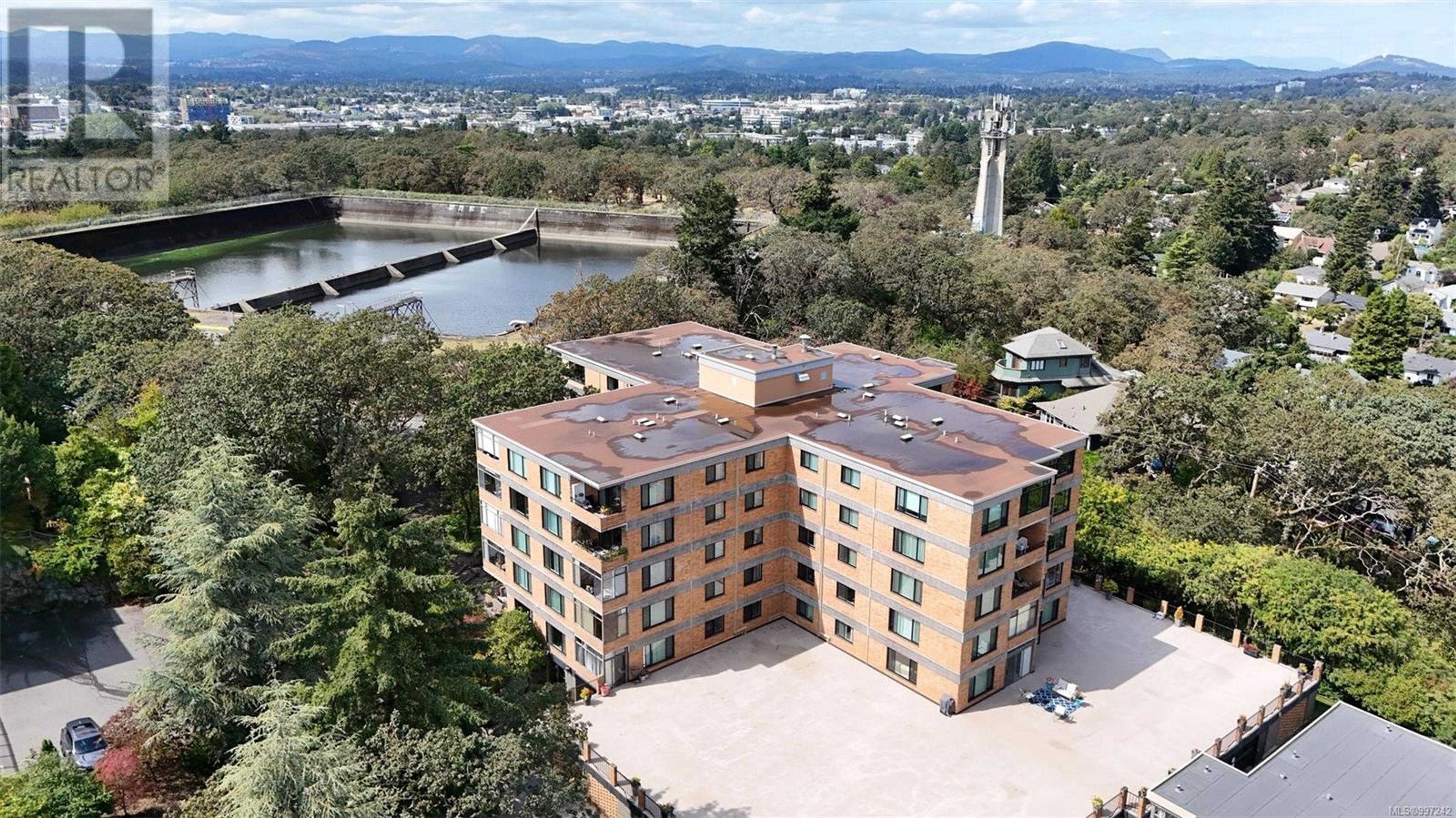 2920 COOK St, Victoria - Exteriors - Drone/Aerial View - Photo 10