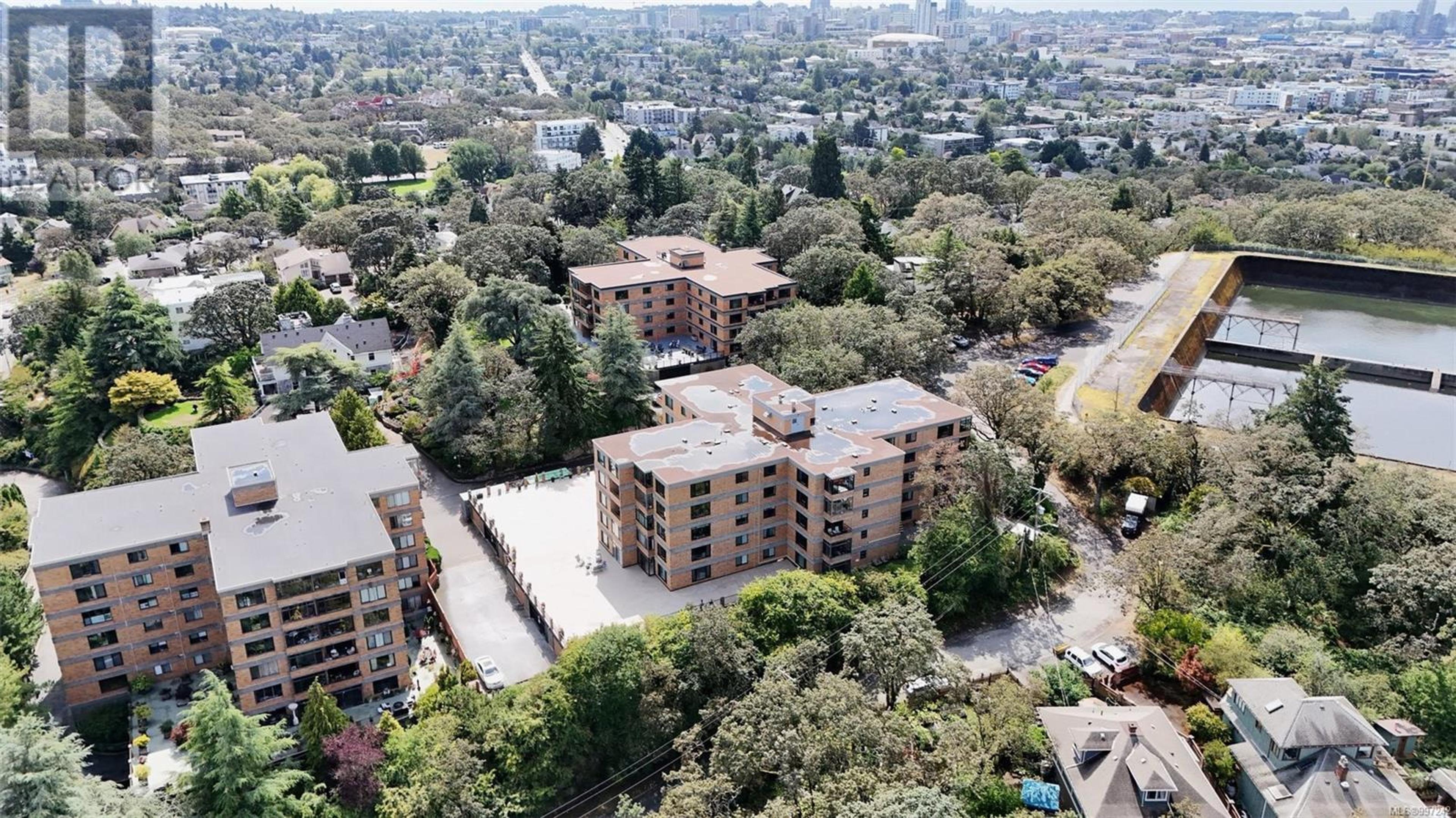 2920 COOK St, Victoria - Exteriors - Full Complex View, Drone/Aerial View - Photo 11