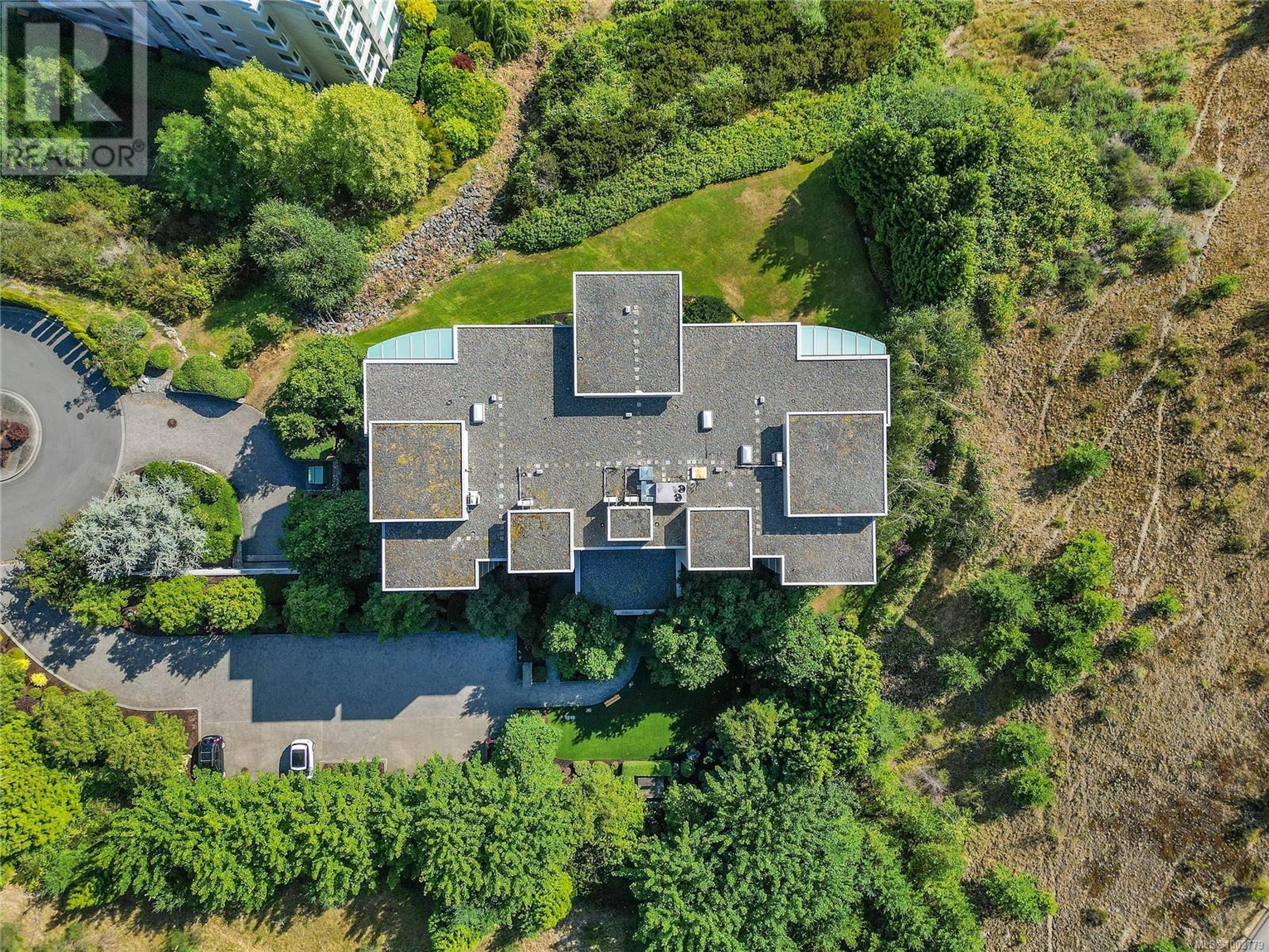 738 Sayward Hill Terr, Saanich - Exteriors - Drone/Aerial View - Photo 7