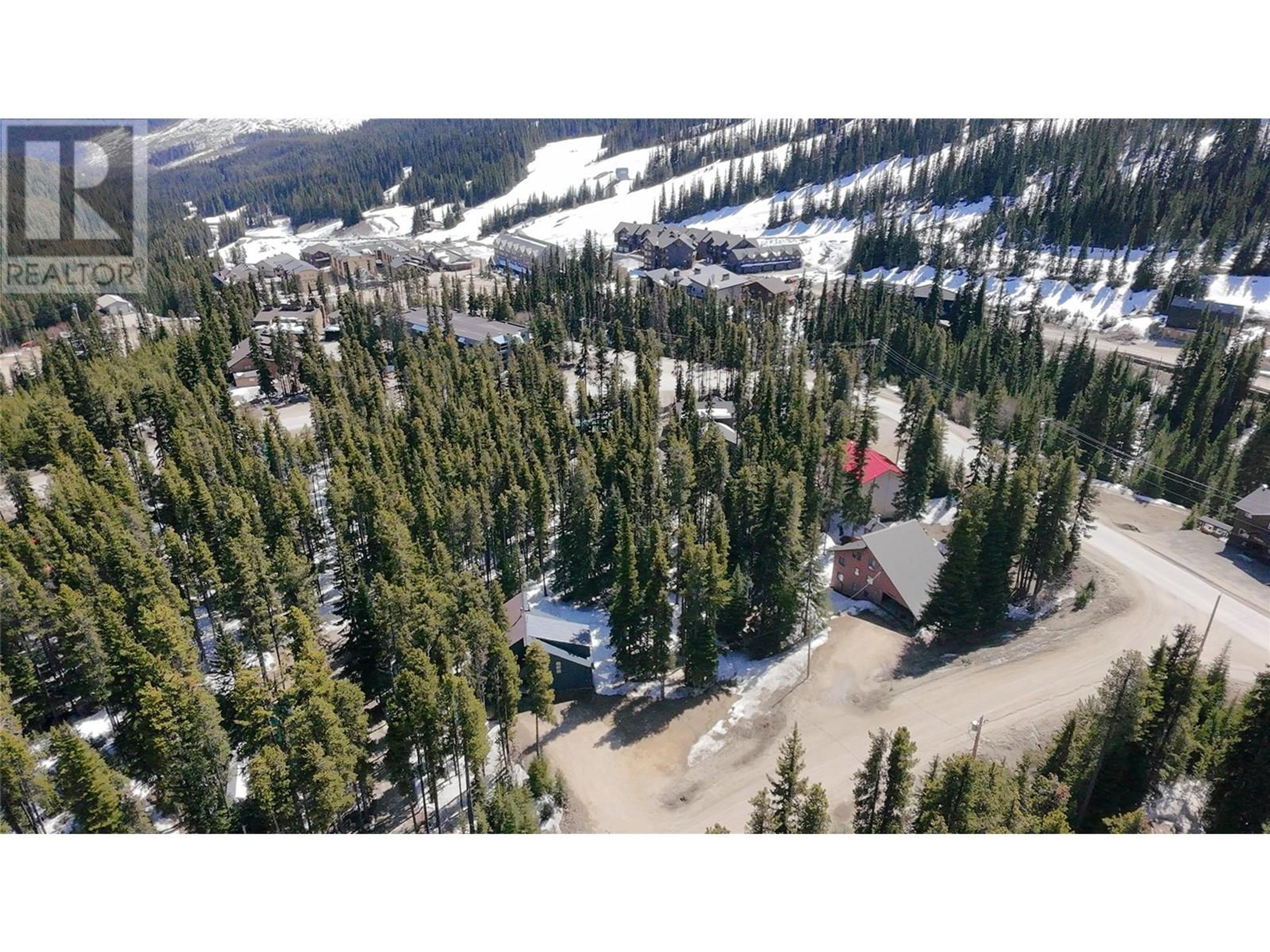 103 Whitetail Road, Apex Mountain - Exteriors - Full Complex View, Drone/Aerial View - Photo 7