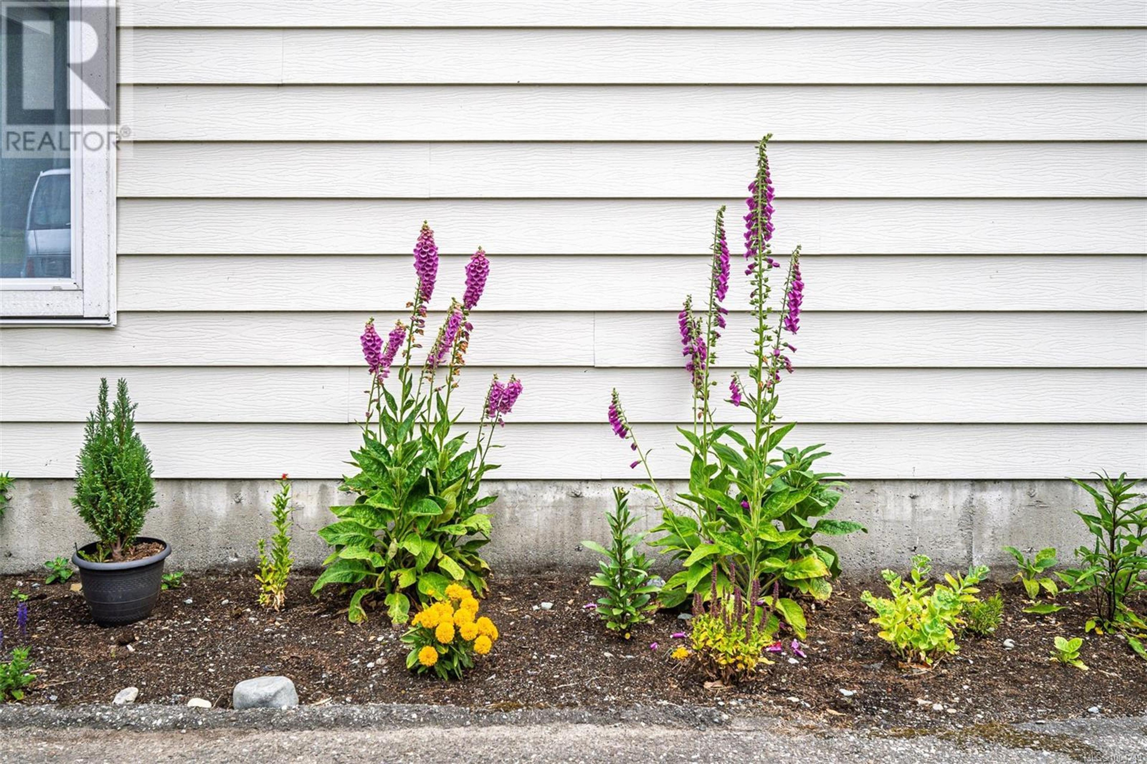 611 Macmillan Dr, Sayward - Exteriors - Photo 6