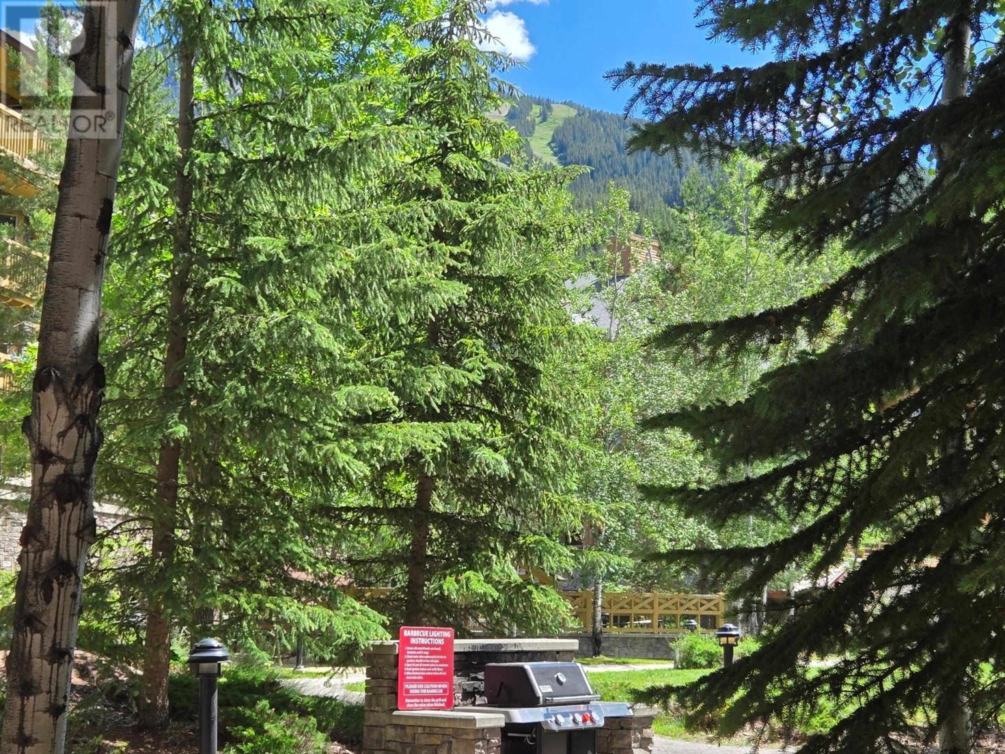 2064 Summit Drive, Panorama - Outdoor Amenities - Barbecue - Photo 2