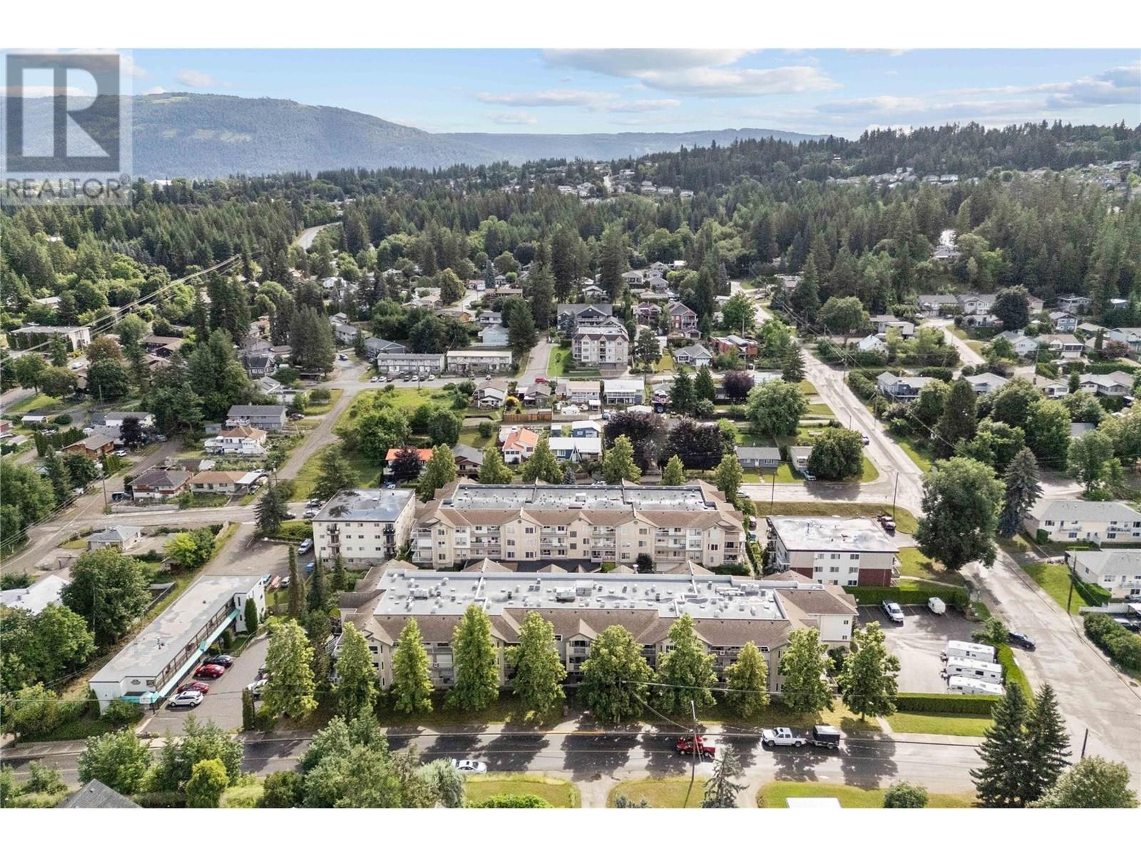 250 5 Street SE, Salmon Arm - Exteriors - Full Complex View, Drone/Aerial View - Photo 5