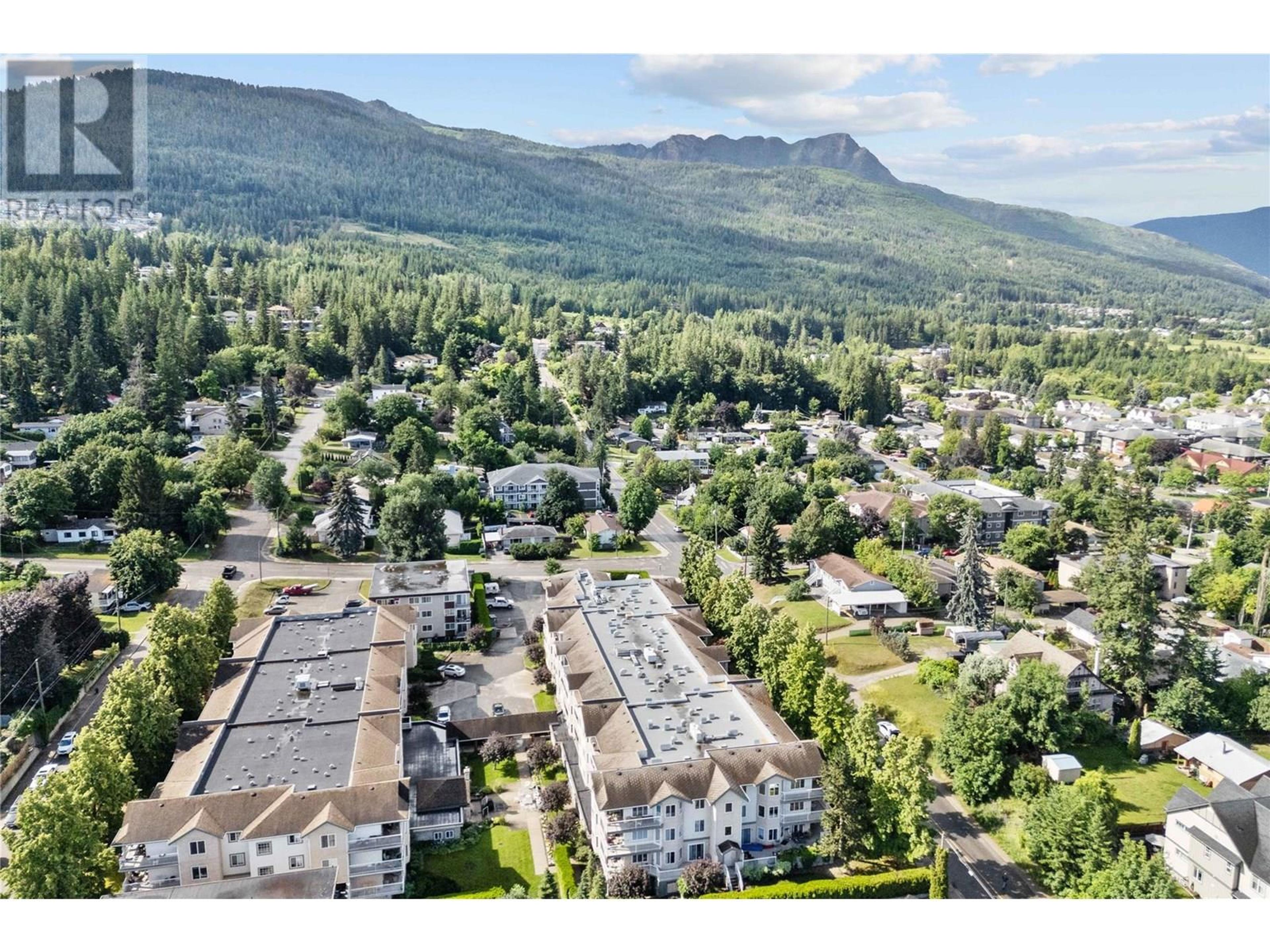 250 5 Street SE, Salmon Arm - Exteriors - Full Complex View, Drone/Aerial View - Photo 9