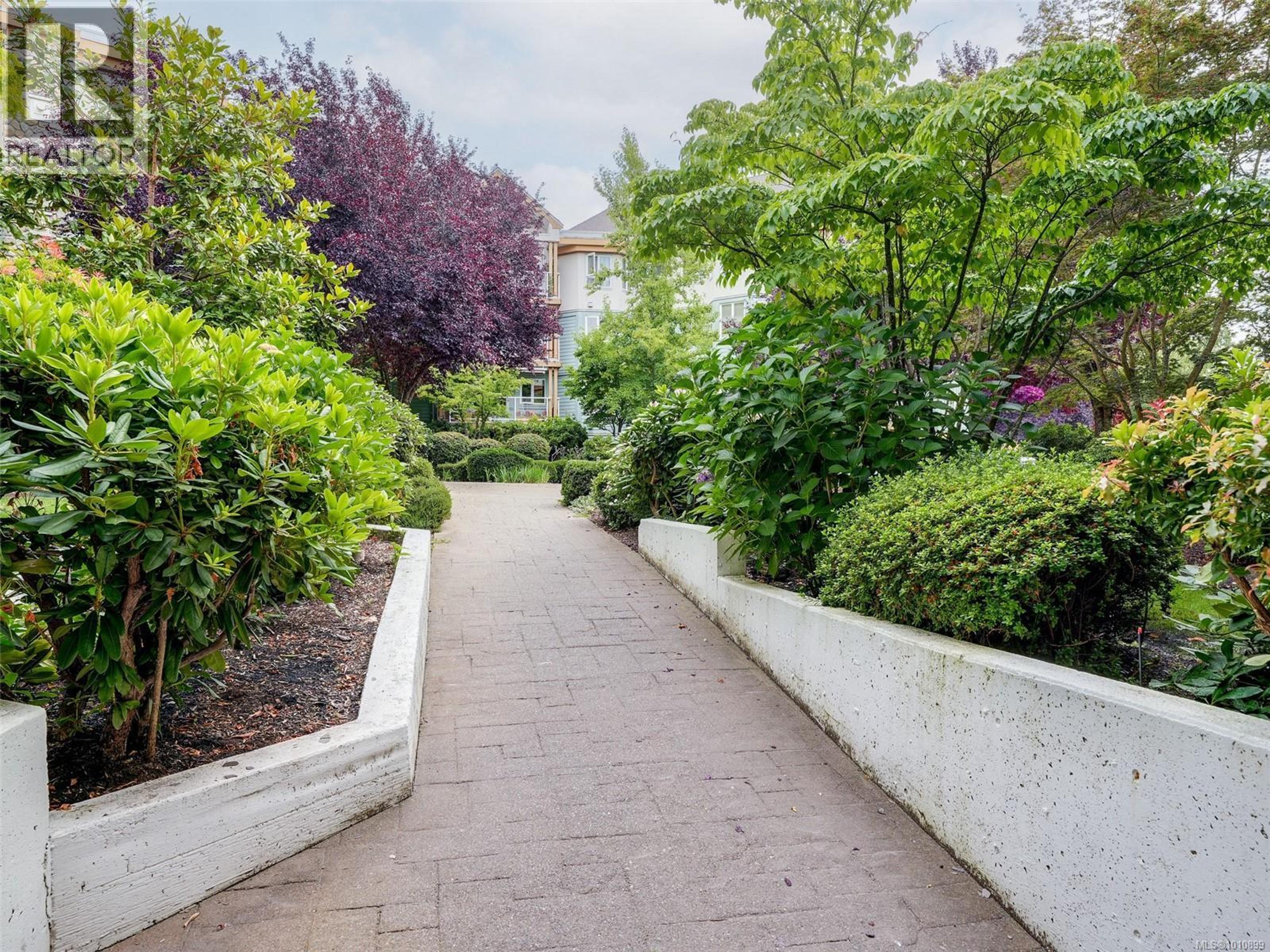 494 Marsett Pl, Saanich - Exteriors - Photo 2