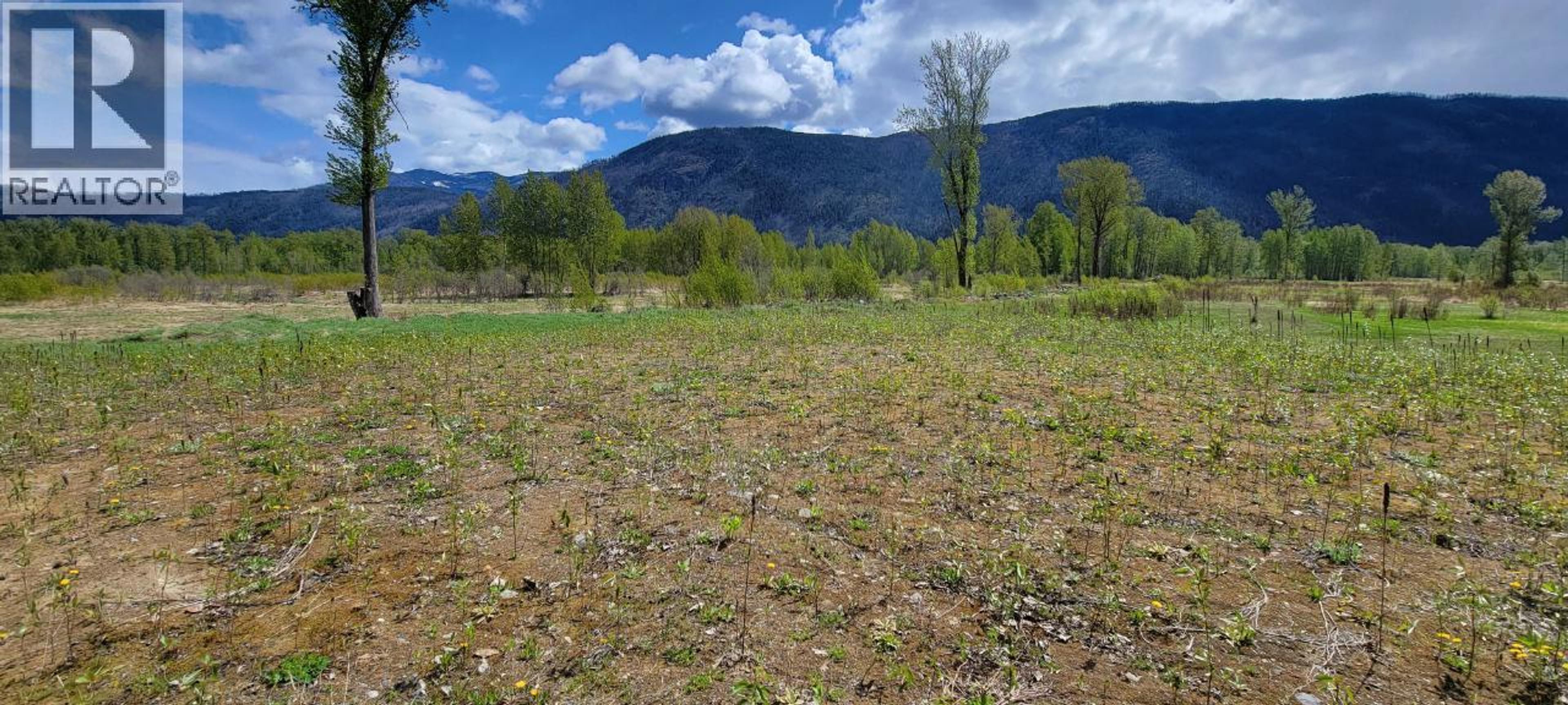 3418 ROUNDTOP ROAD - Image 6