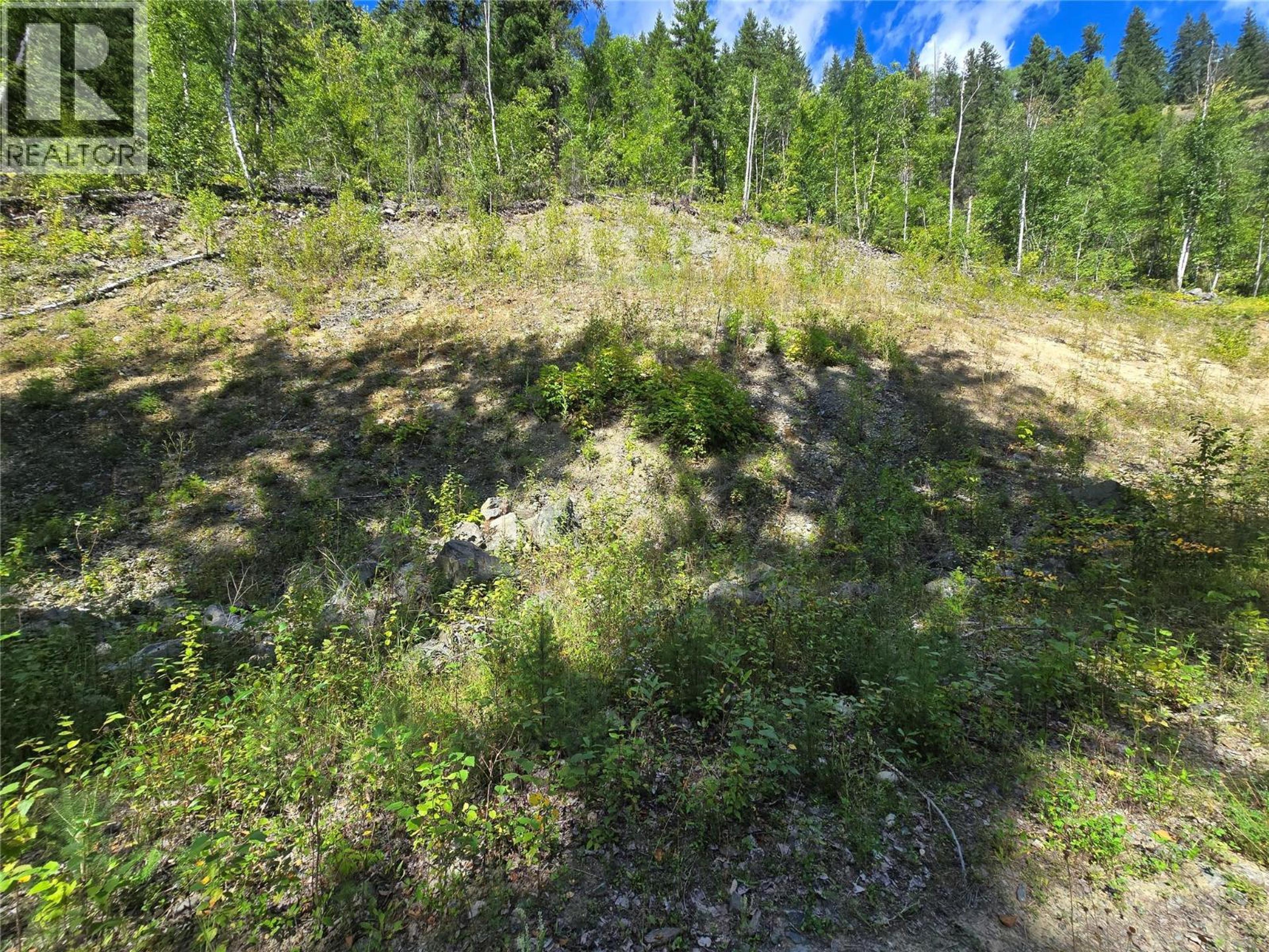 3418 ROUNDTOP ROAD - Image 4