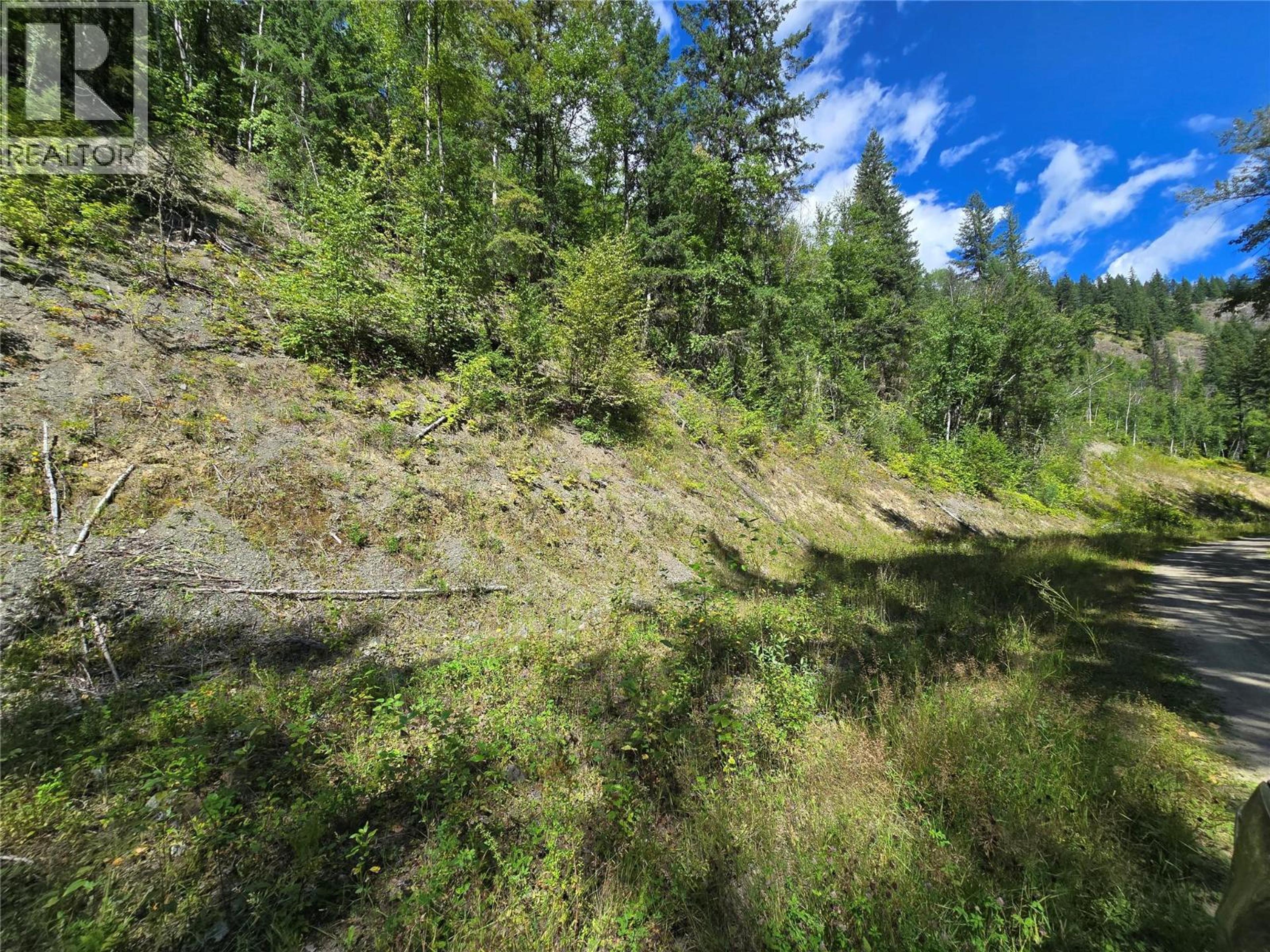 3418 ROUNDTOP ROAD - Image 5