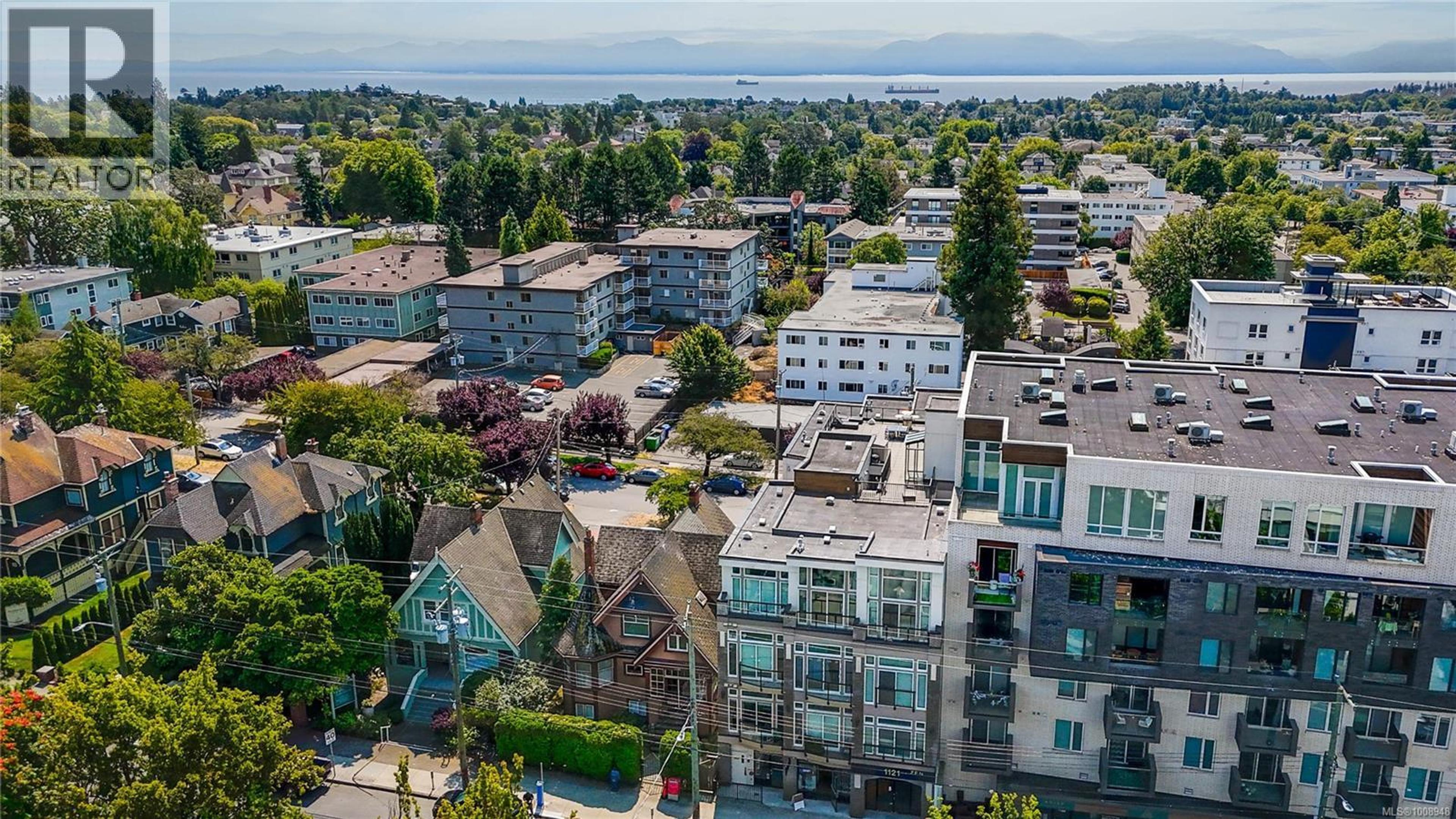 1121 Fort St, Victoria - Exteriors - Full Complex View, Drone/Aerial View - Photo 7