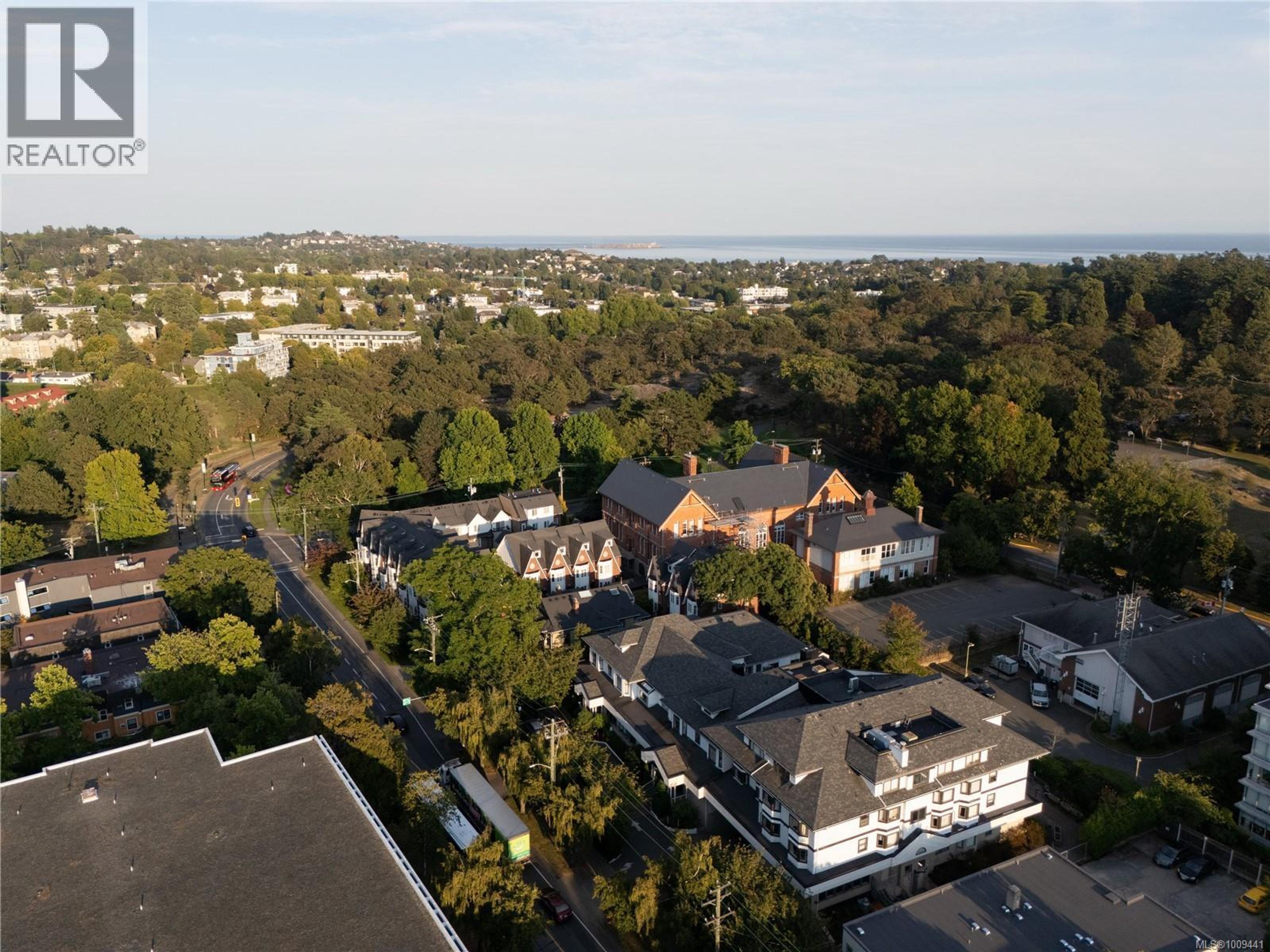 675 Superior St, Victoria - Exteriors - Full Complex View, Drone/Aerial View - Photo 4