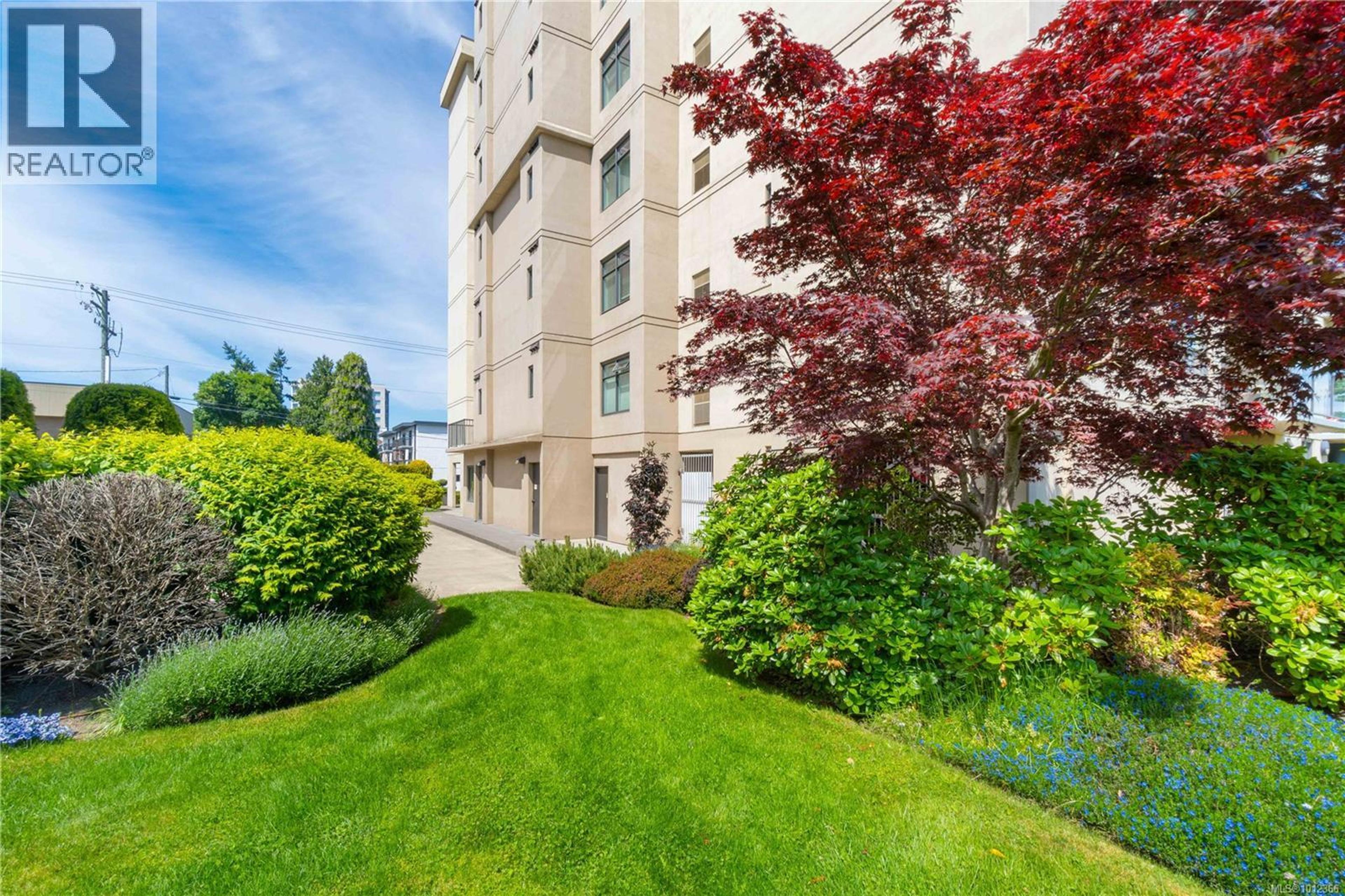 225 Rosehill St, Nanaimo - Exteriors - Photo 6