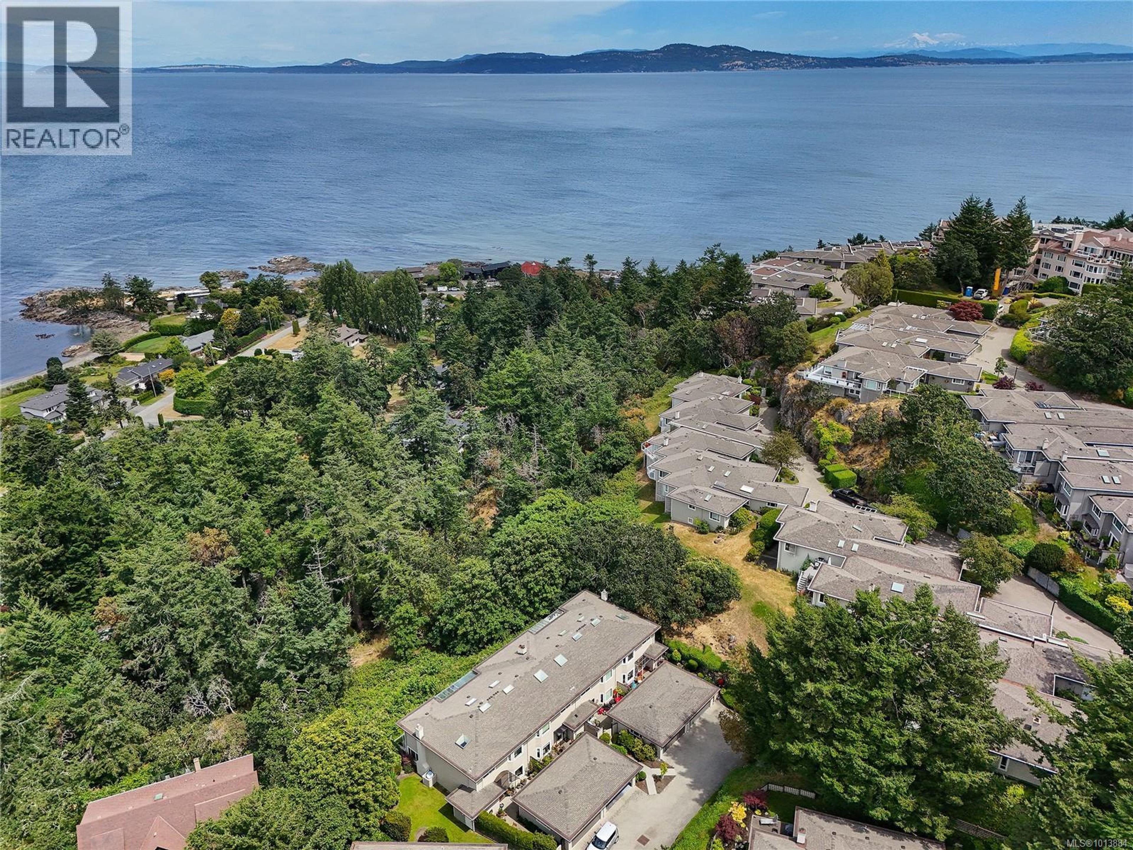 2829 Arbutus Rd, Saanich - Exteriors - Full Complex View, Drone/Aerial View - Photo 7