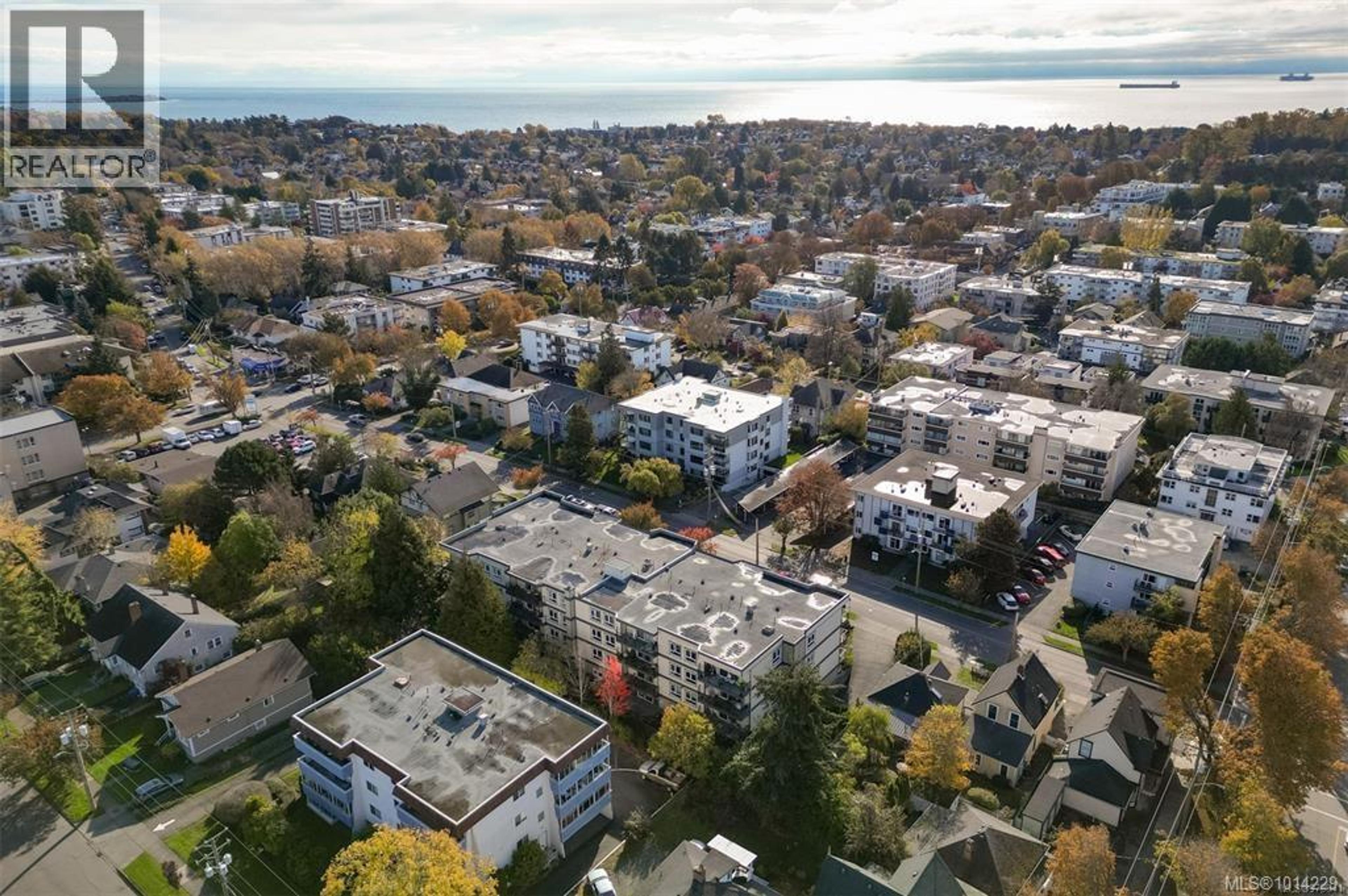 1024 Fairfield Rd, Victoria - Exteriors - Full Complex View, Drone/Aerial View - Photo 2