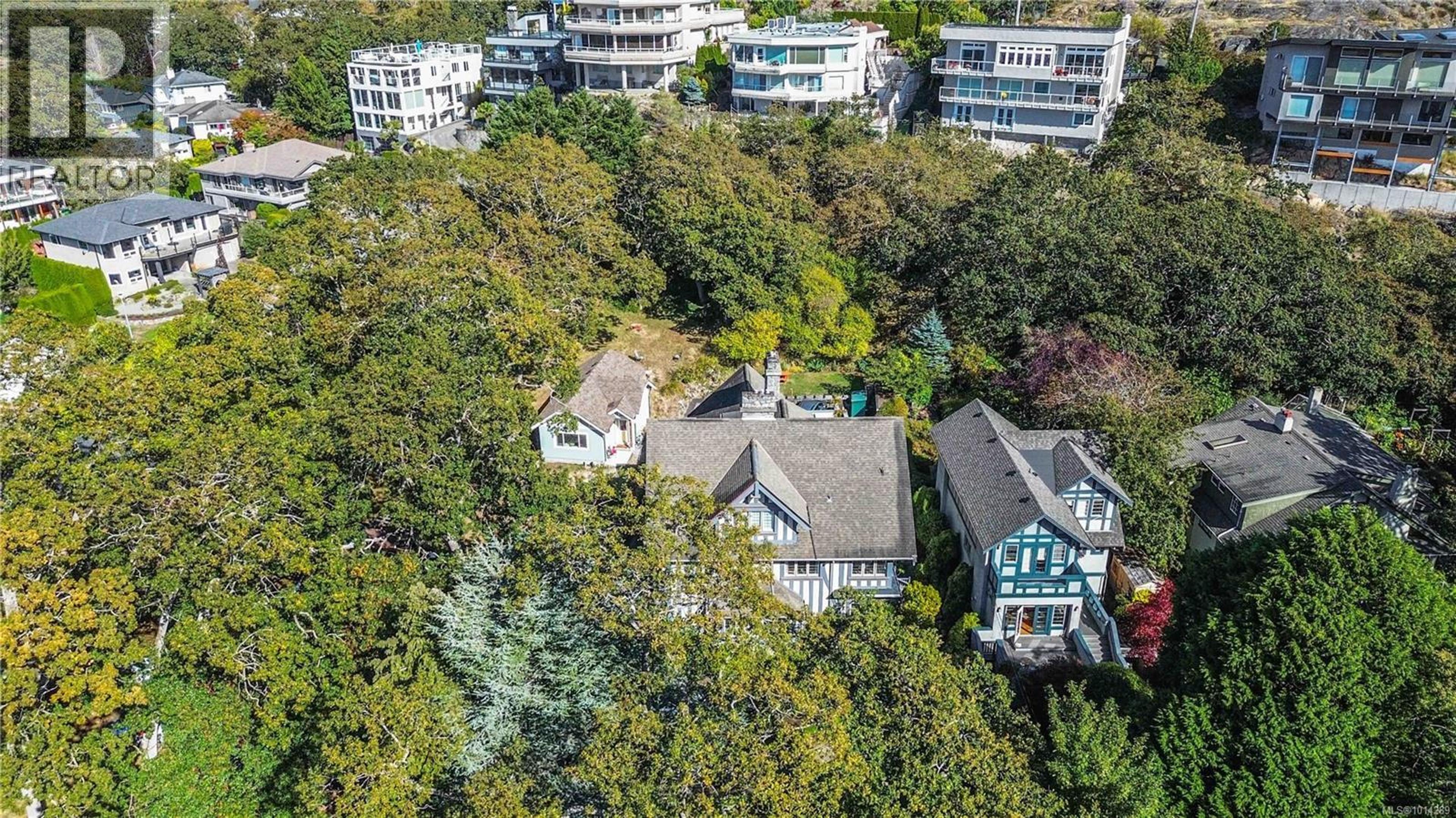 349 Foul Bay Rd, Victoria - Exteriors - Full Complex View, Drone/Aerial View - Photo 3