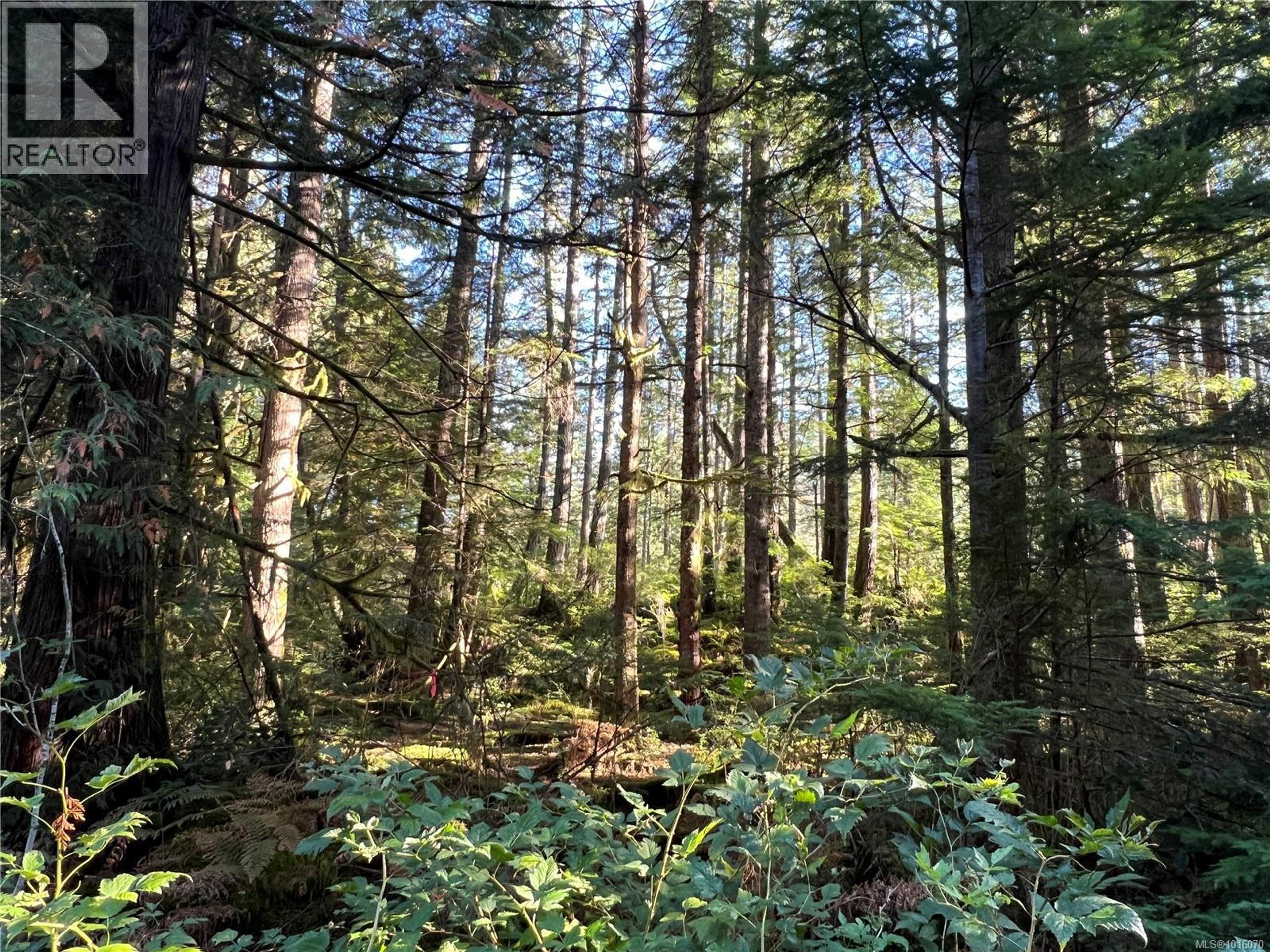 LOT 60 BUSBY ISLAND - Image 4