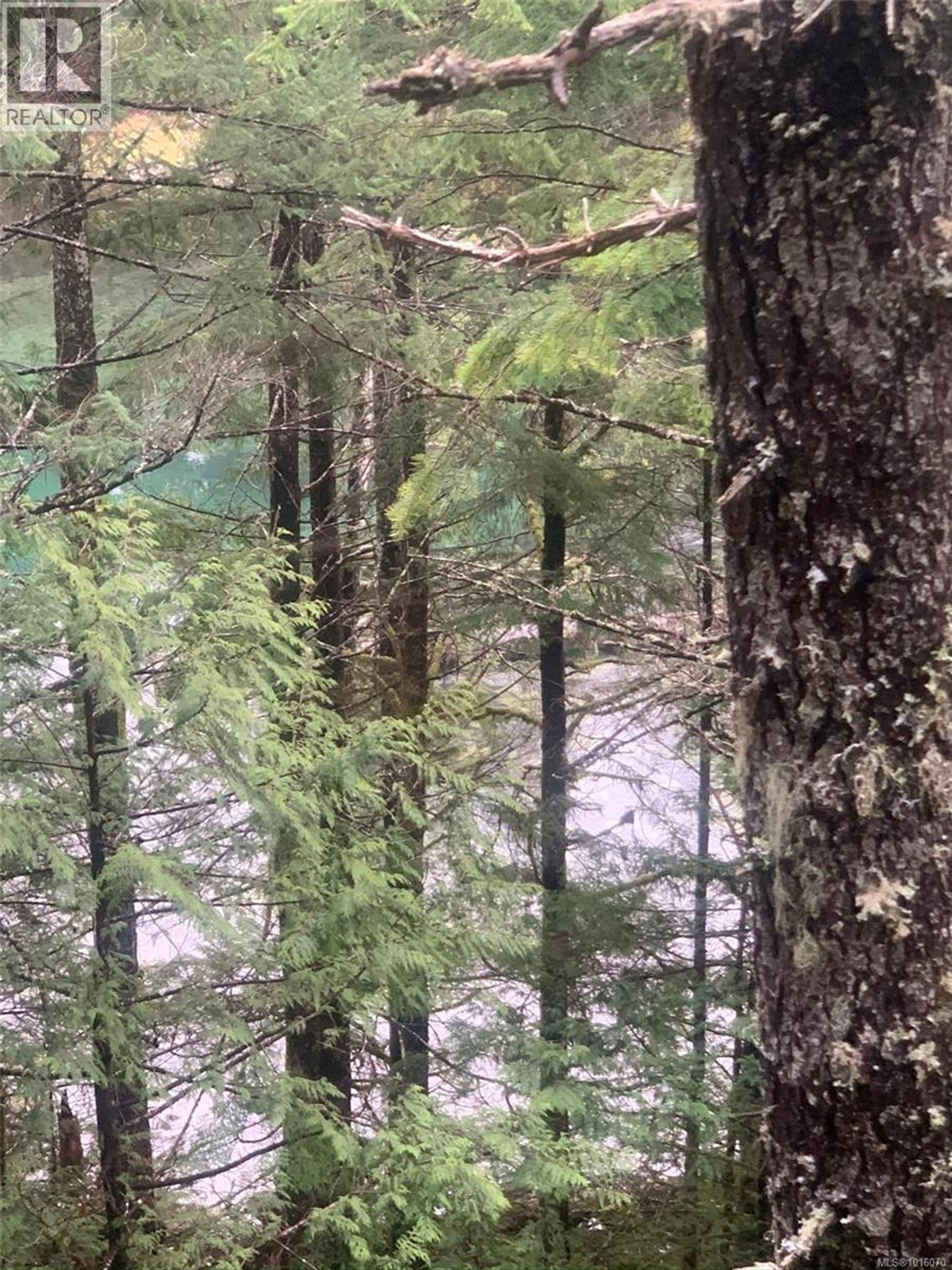 LOT 60 BUSBY ISLAND - Image 7