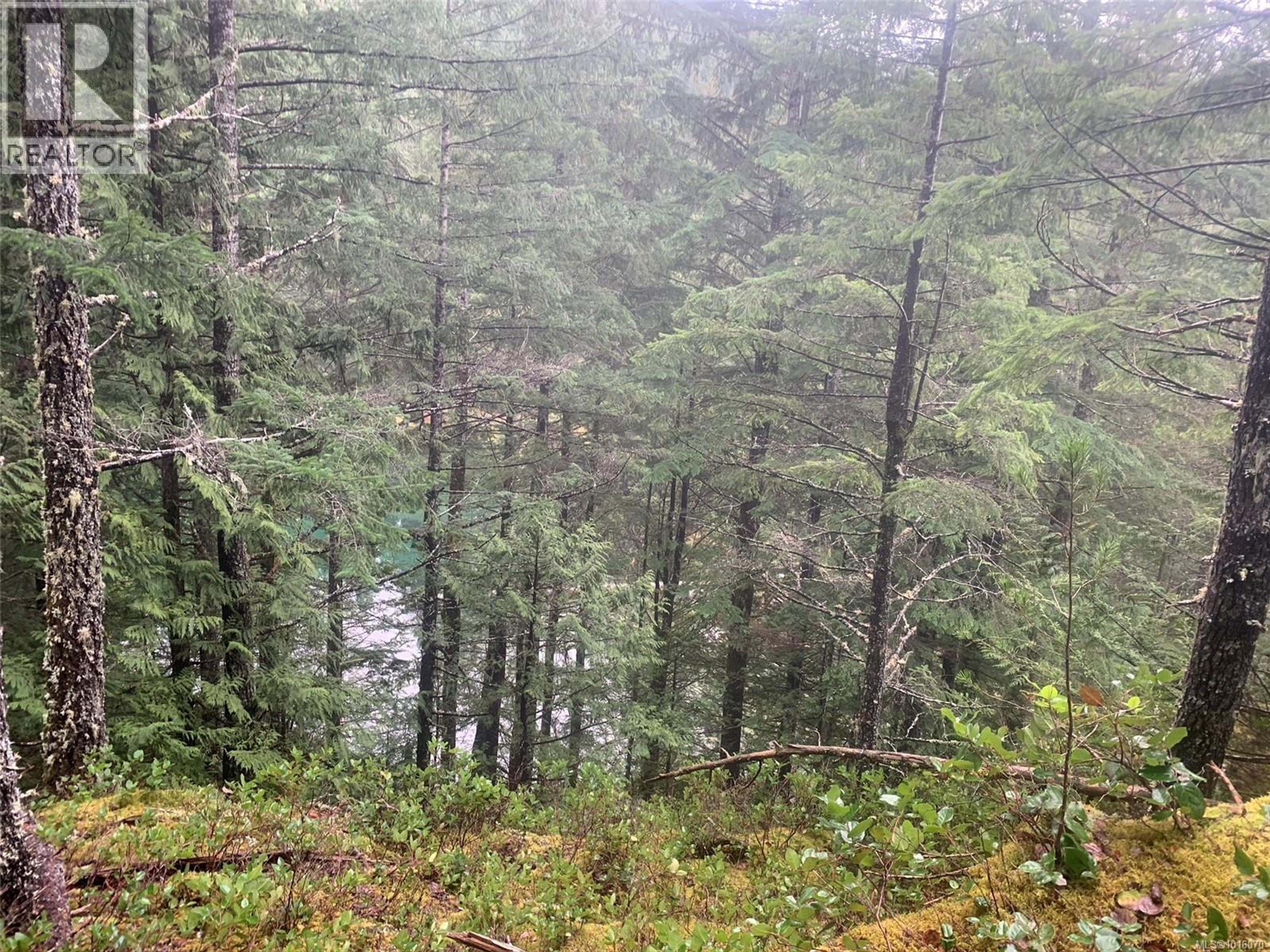 LOT 60 BUSBY ISLAND - Image 6