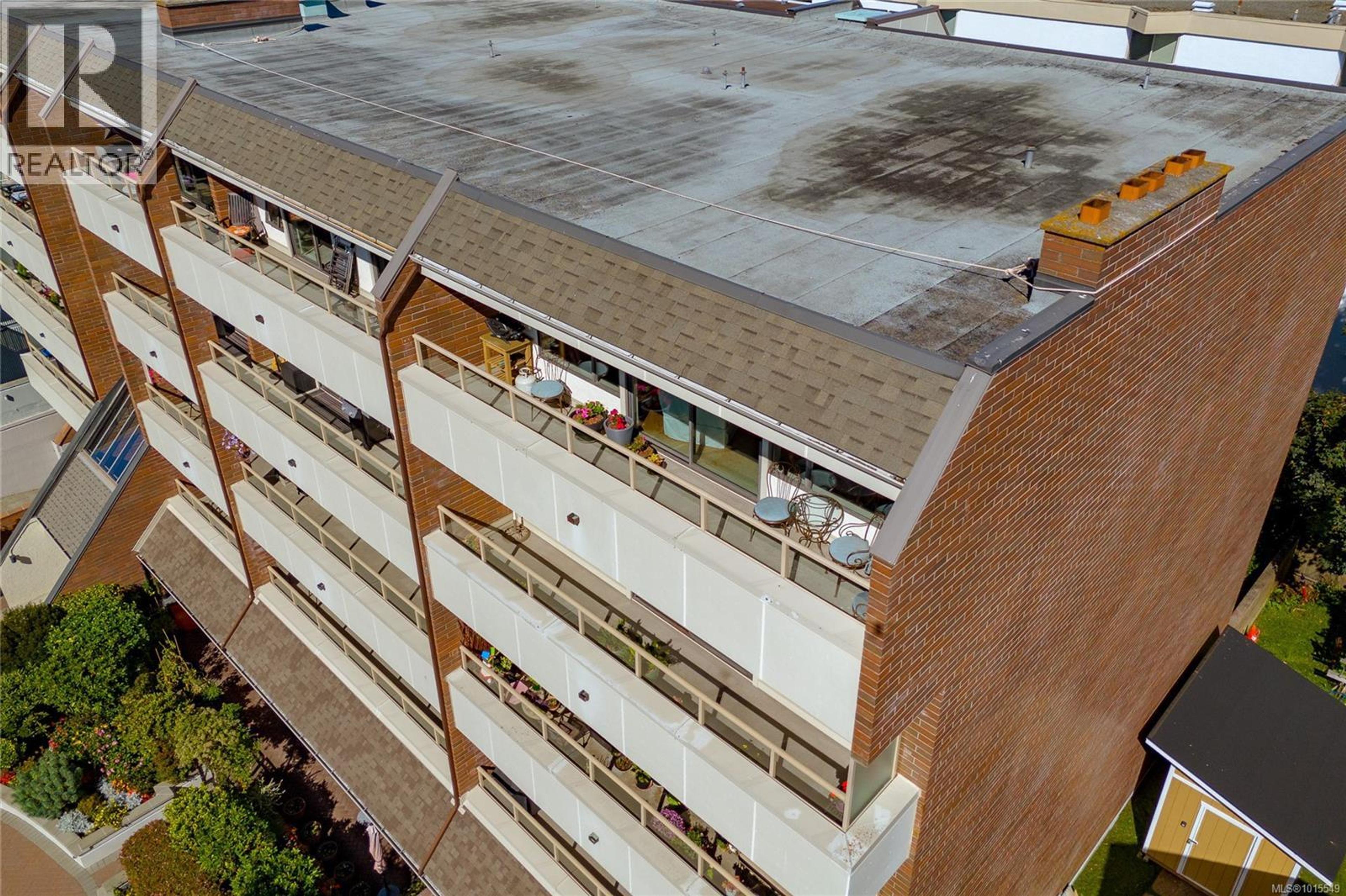 1175 Newport Ave, Oak Bay - Exteriors - Drone/Aerial View - Photo 5