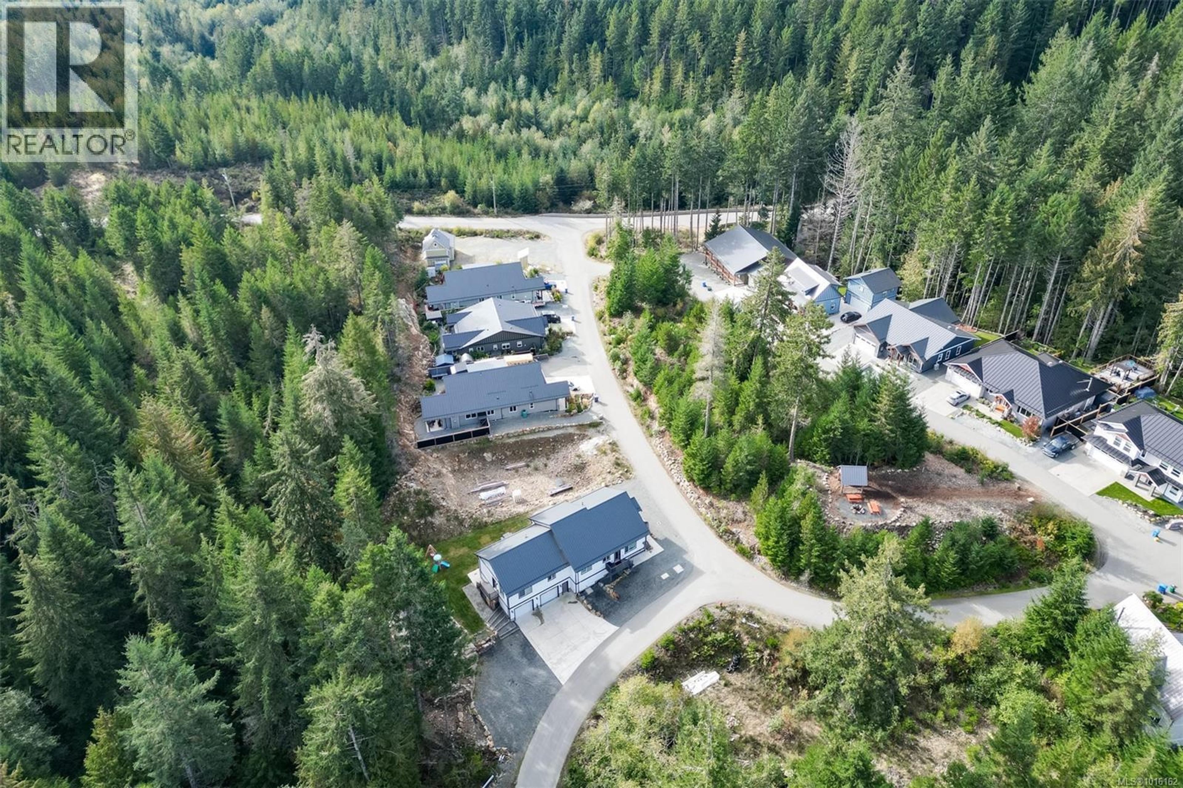 1141 Trailhead Lane, Shawnigan Lake - Exteriors - Full Complex View, Drone/Aerial View - Photo 19